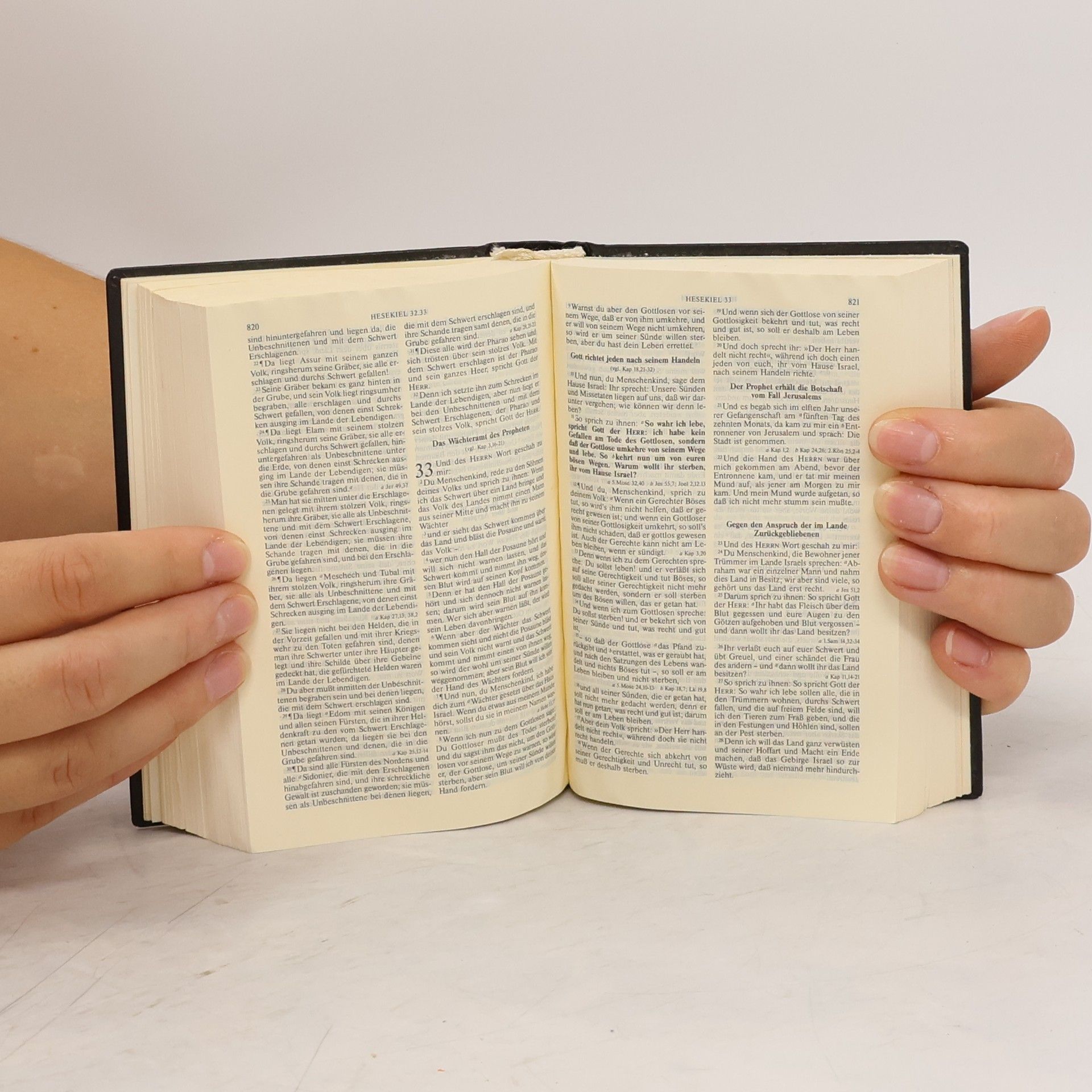 Martin Luther Die Bibel