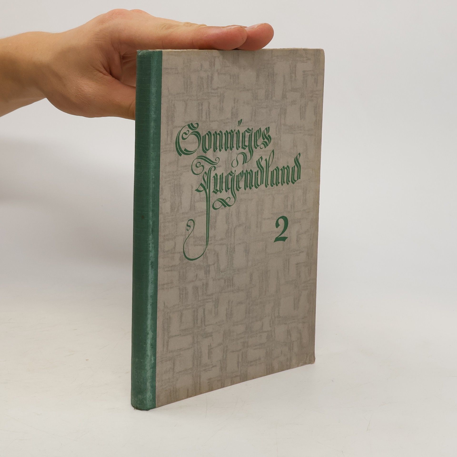 Autorenkollektiv Sonniges Jugendland 2