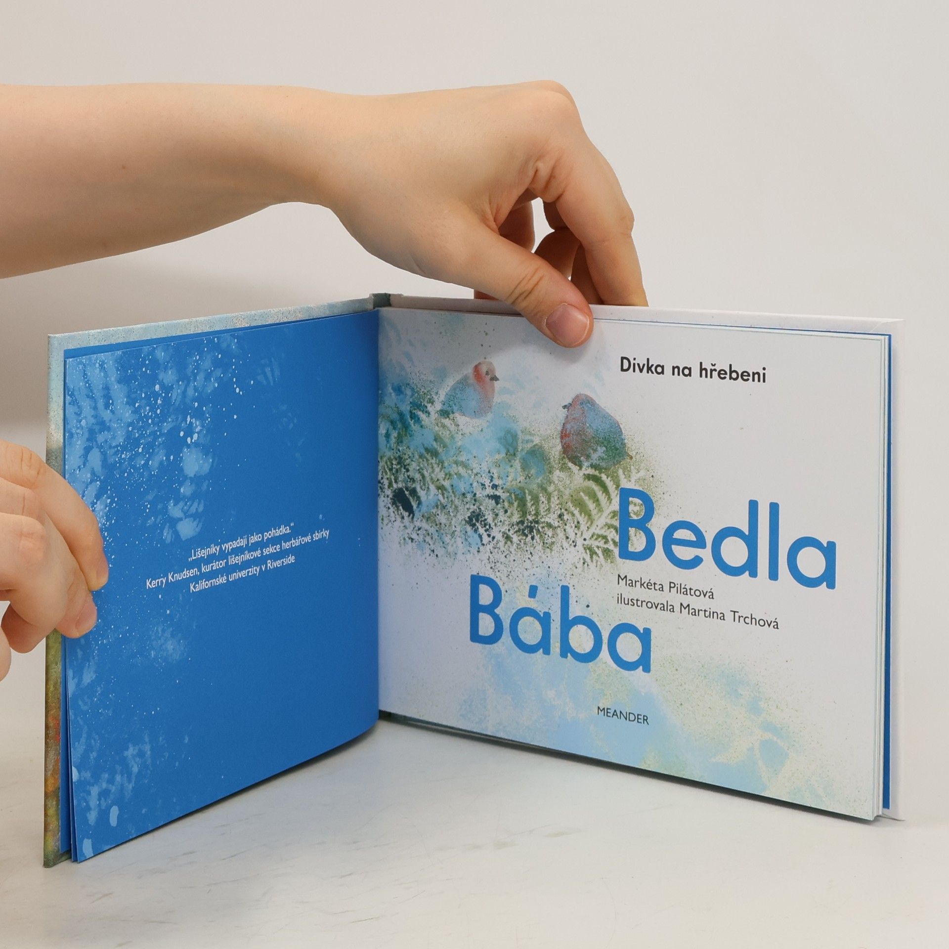Markéta Pilátová Bába Bedla. Dívka na hřebeni