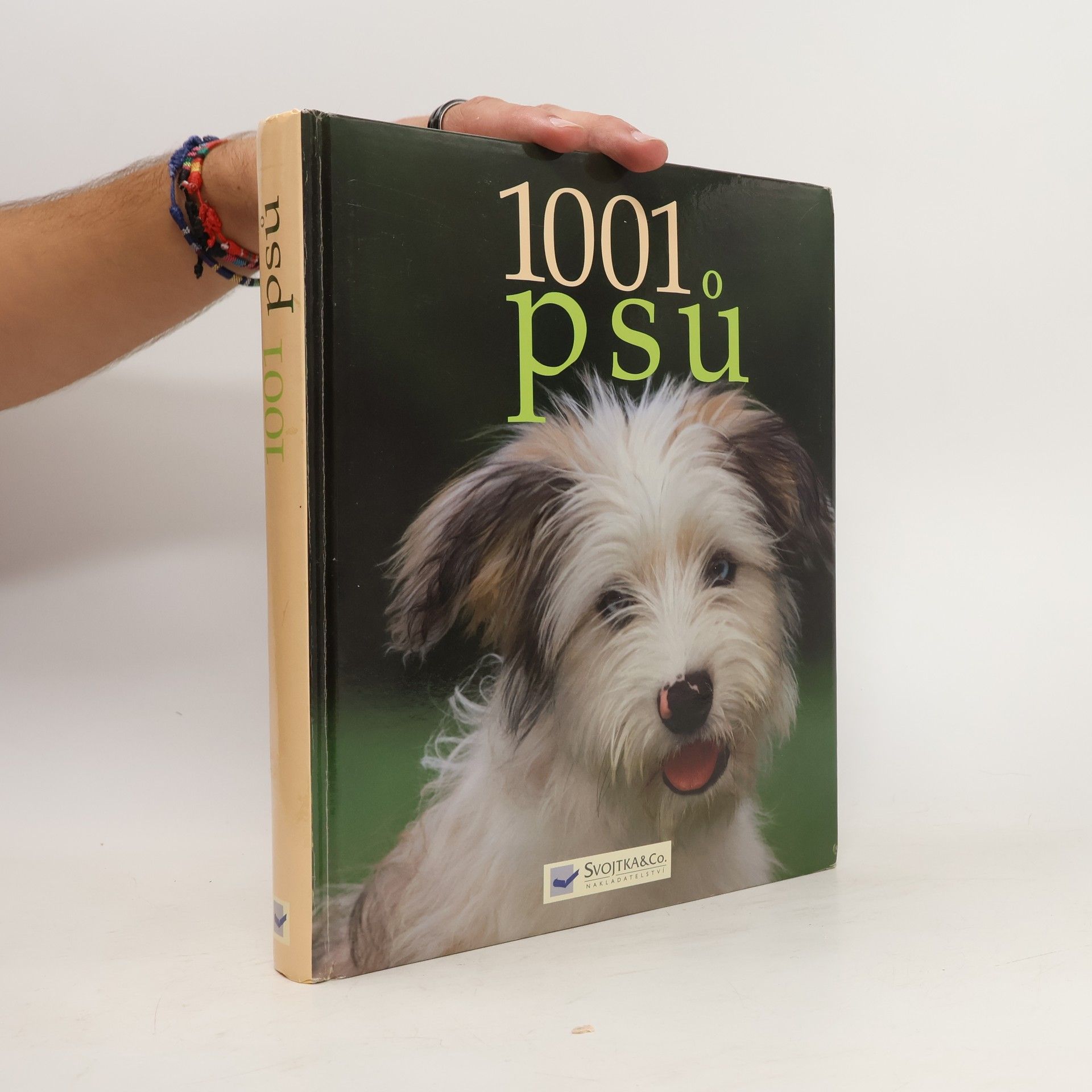 Collective 1001 psů