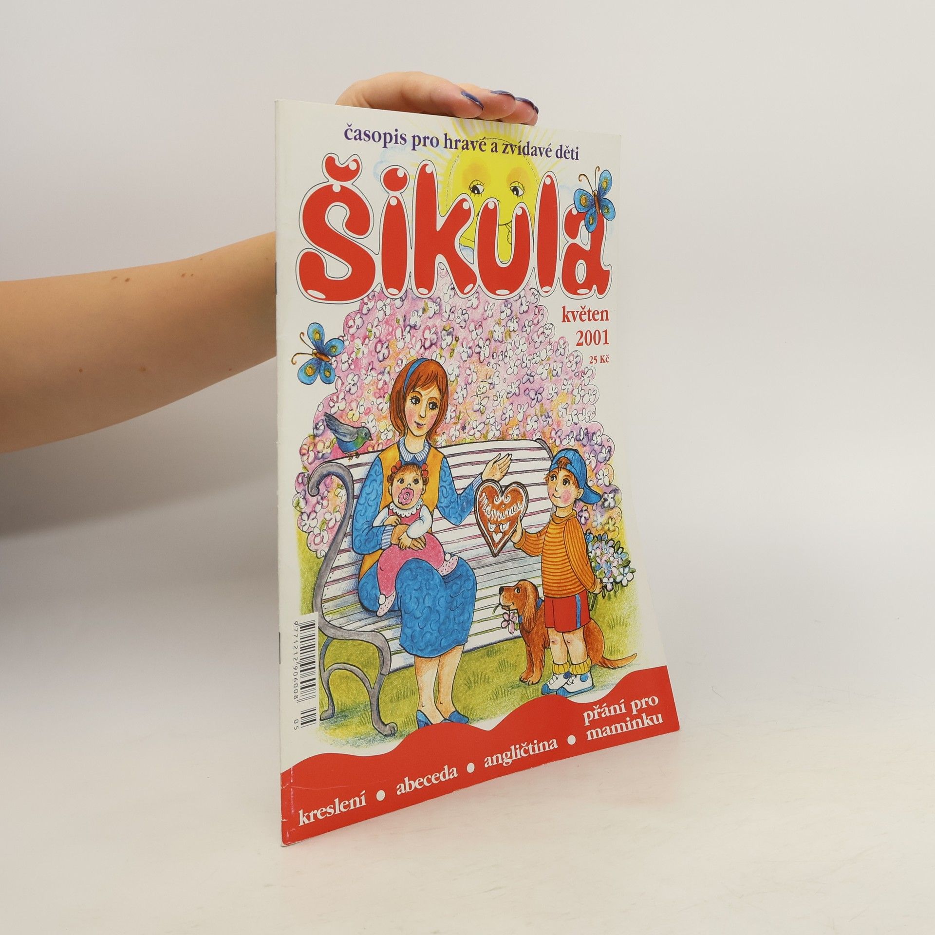 Kolektiv autorů Šikula 5/2001