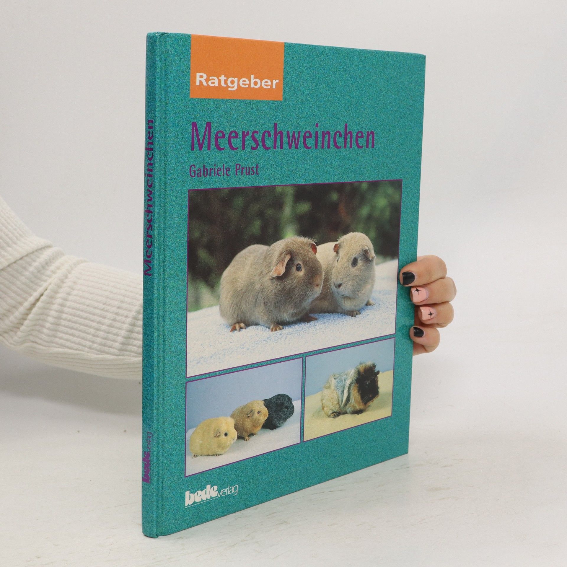 Gabriele Prust Meerschweinchen