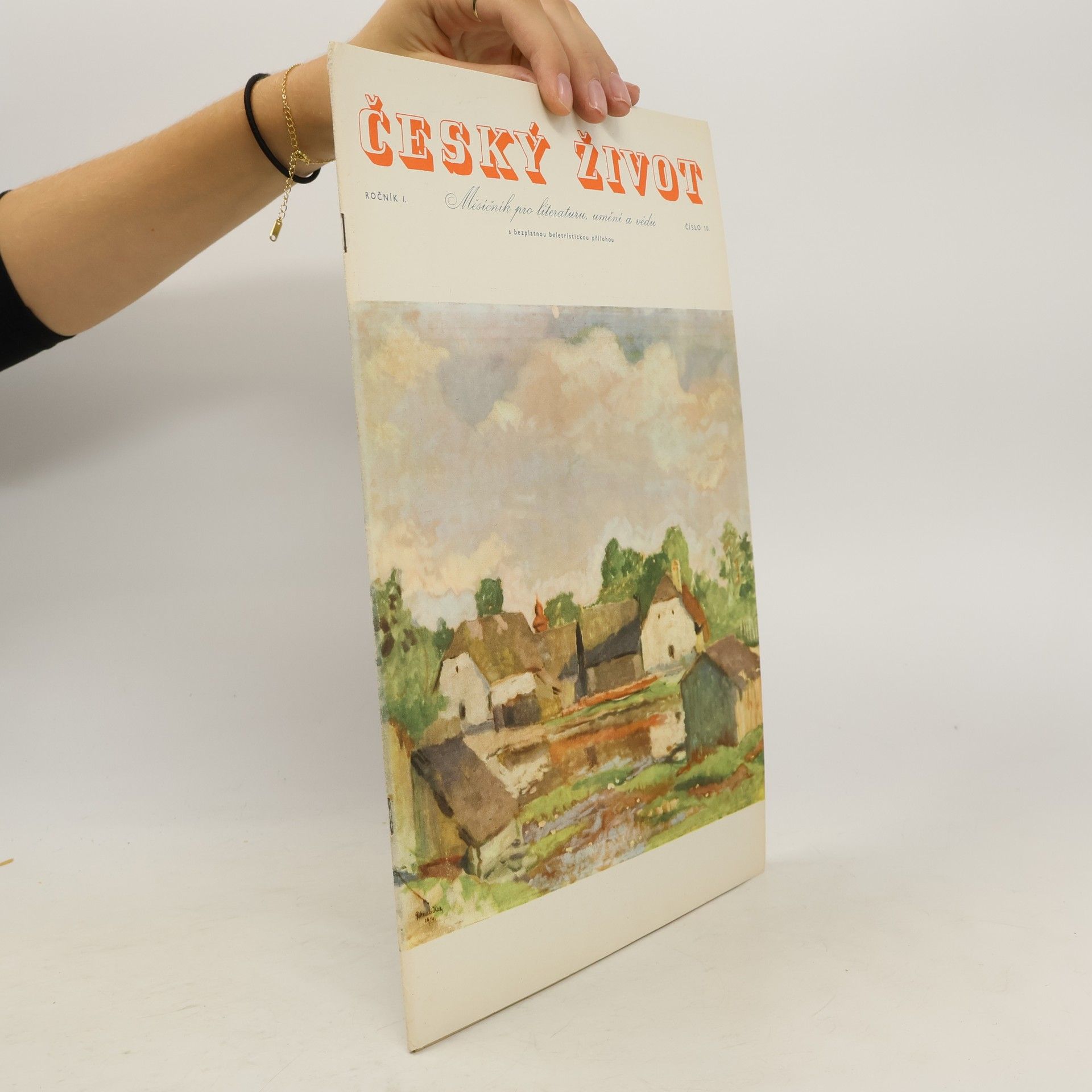 Collectif d'auteurs Český život 10