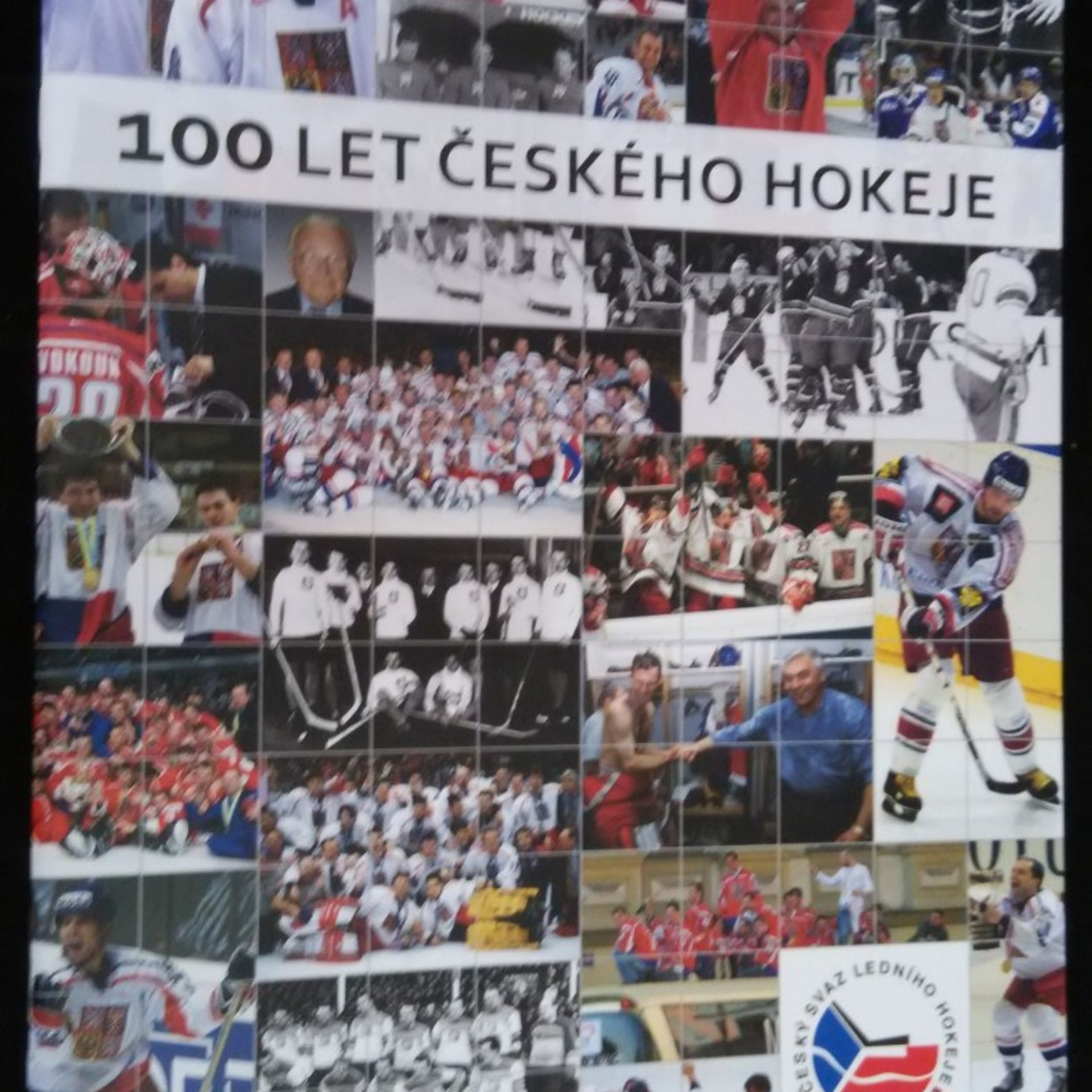 Pavel Bárta 100 let českého hokeje