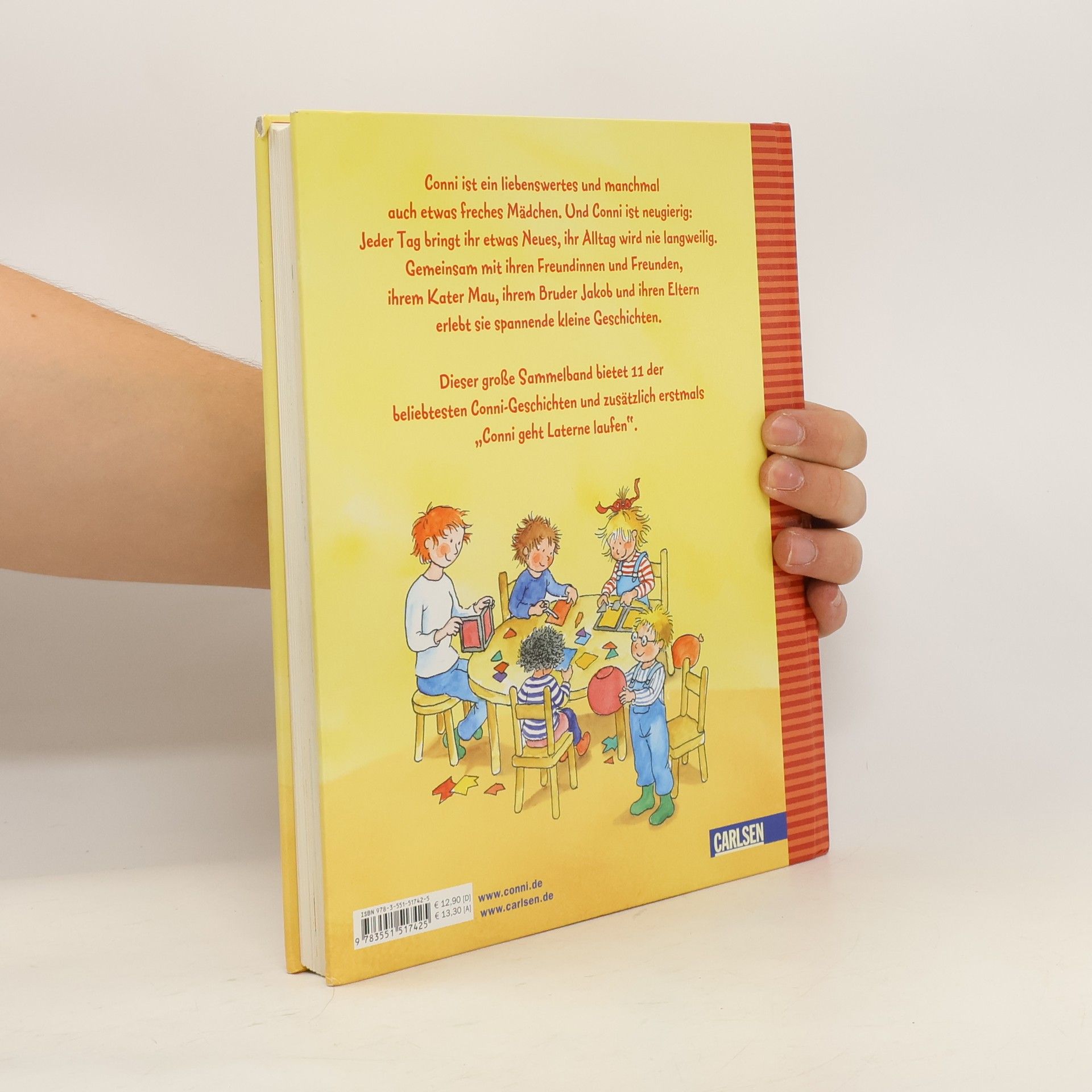 Lianne Schneider Das große Conni-Buch