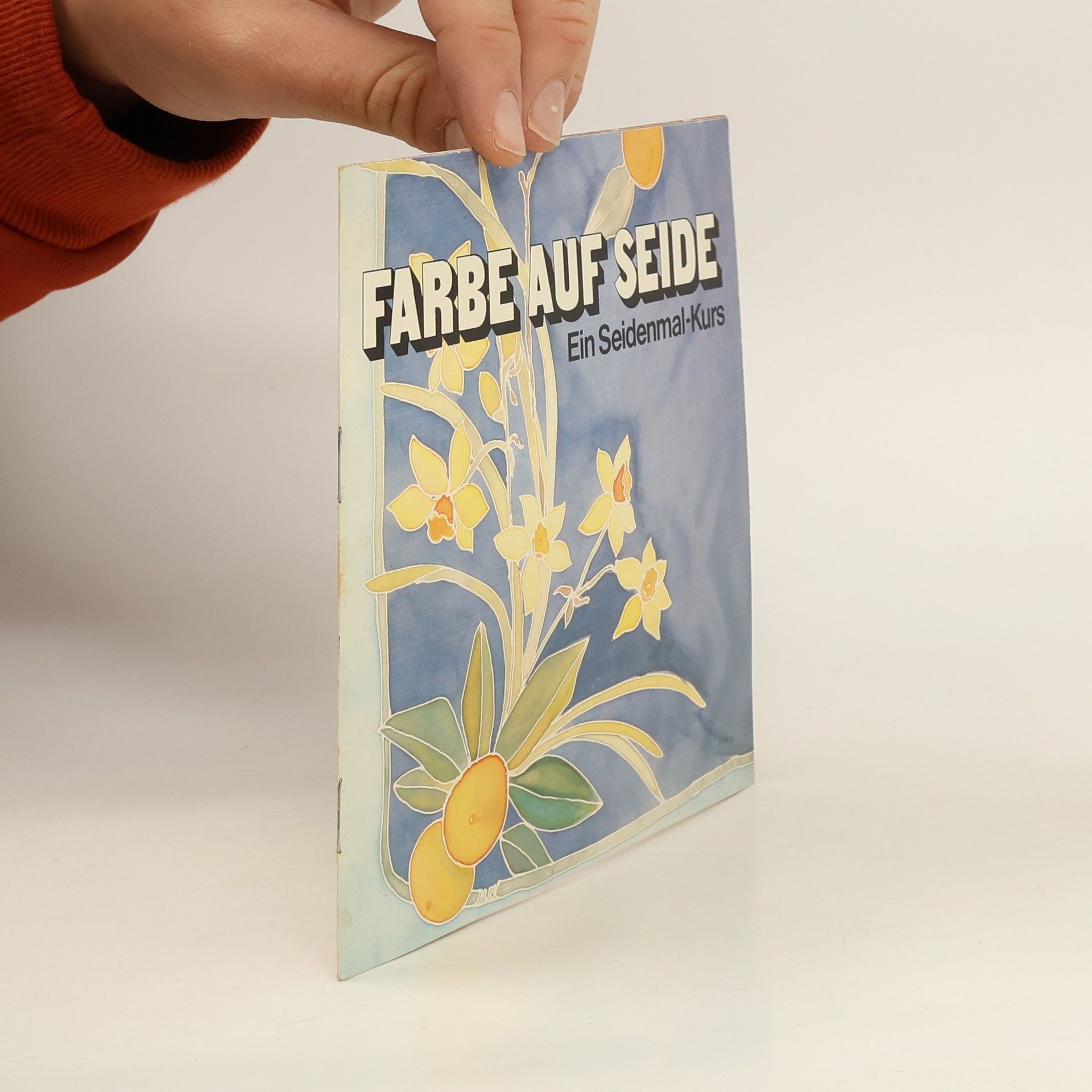 Autorenkollektiv Farbe auf Seide. Ein Seidenmal-Kurs