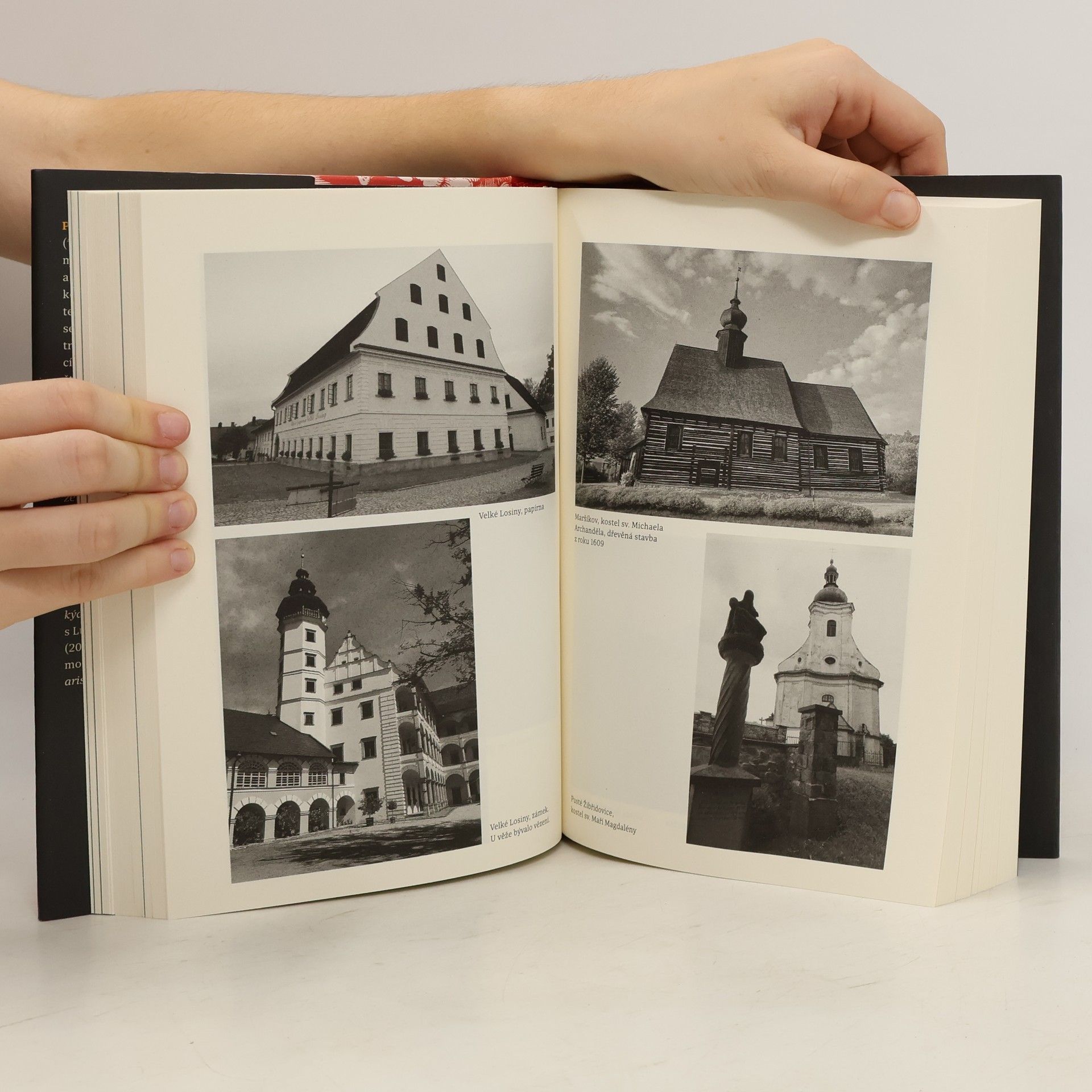 Jaroslav Čechura Kronika jednoho šílenství: Čarodějnice na severní Moravě v 17. století