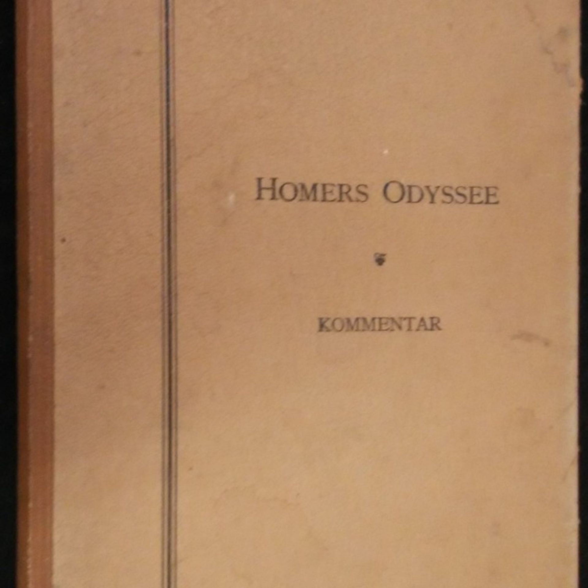 Kolektiv autorů Homers Odyssee