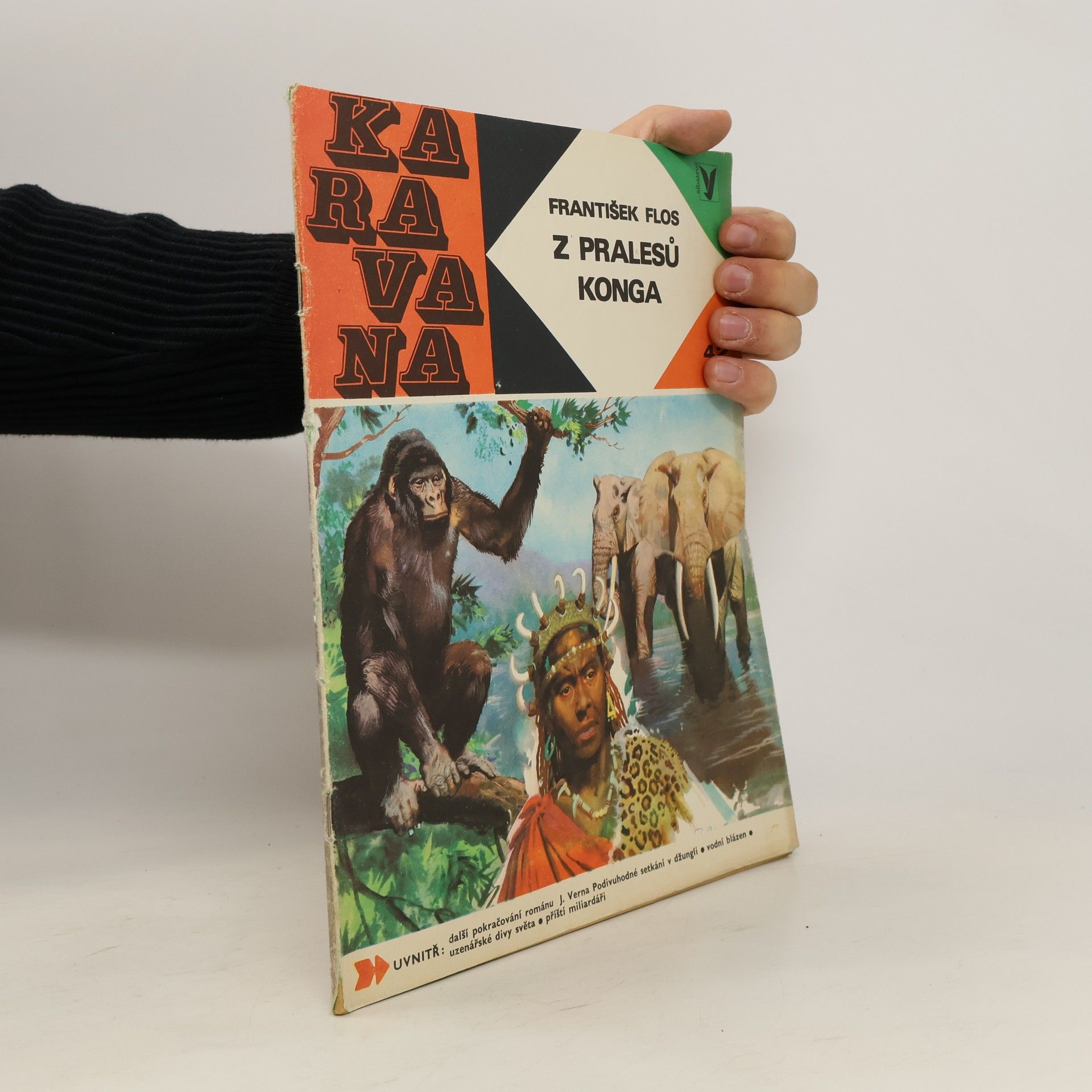 Autorenkollektiv Karavana č. 42 - Z pralesů konga