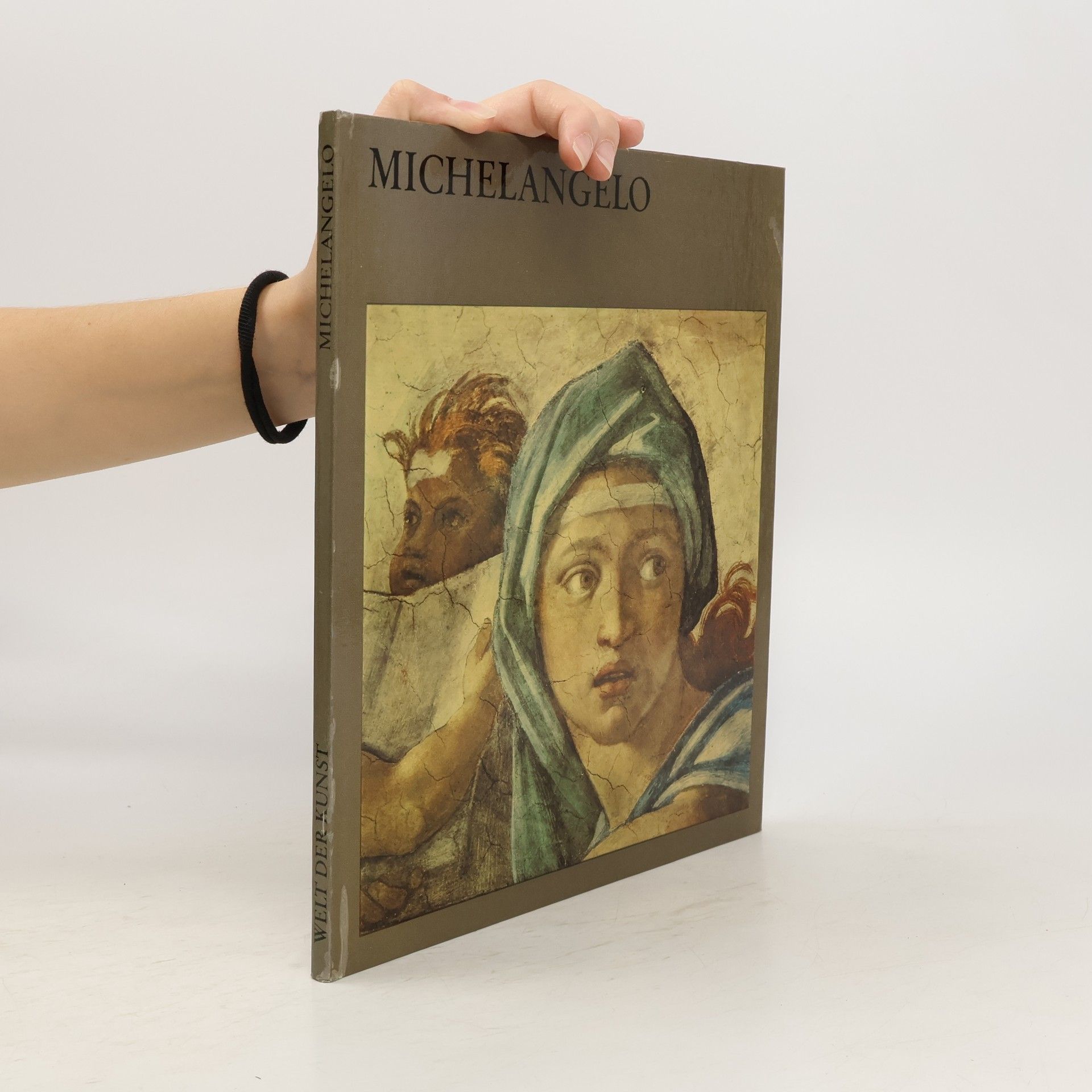 Collectif d'auteurs Welt der Kunst. Michelangelo