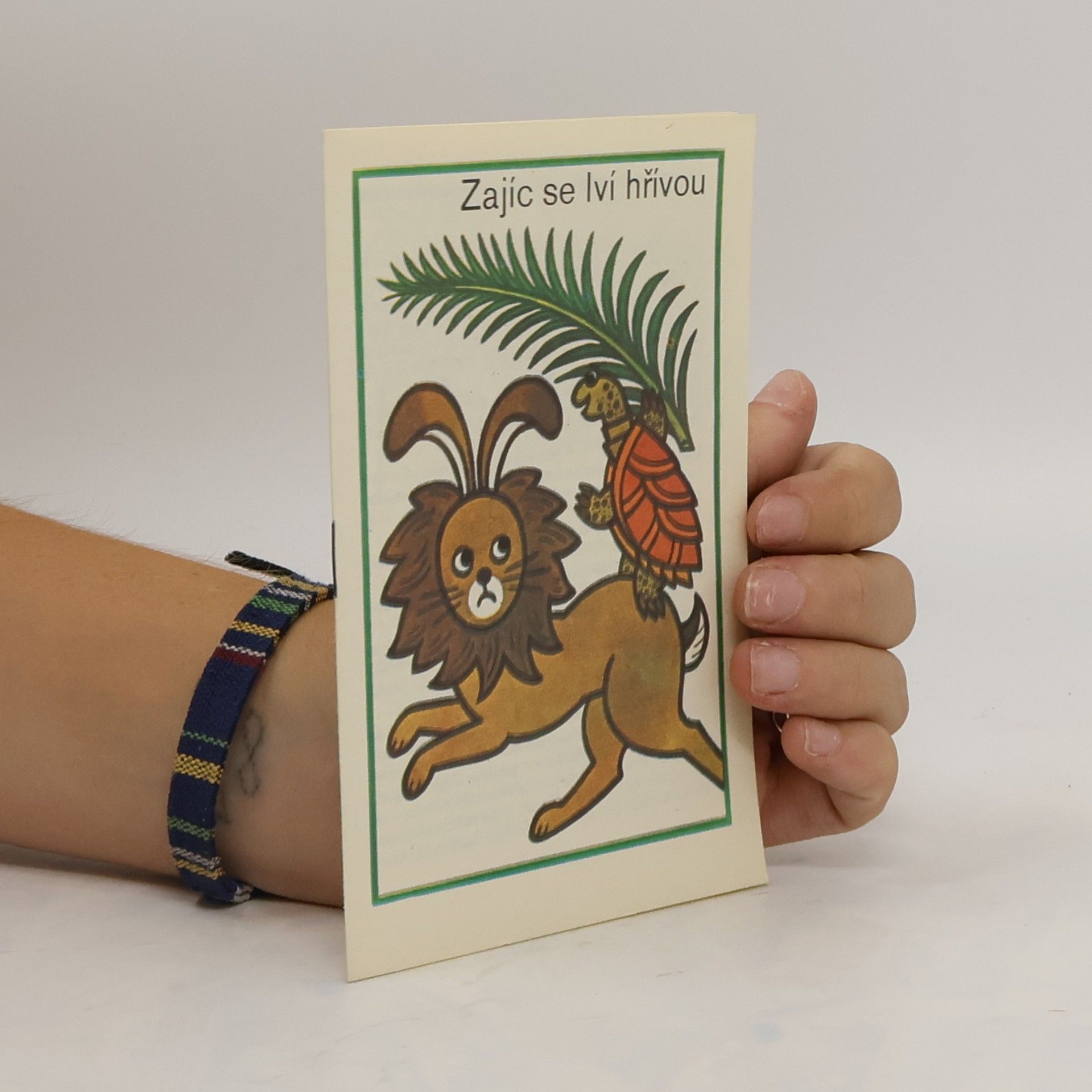 Kolektiv autorů Zajíc se lví hřívou