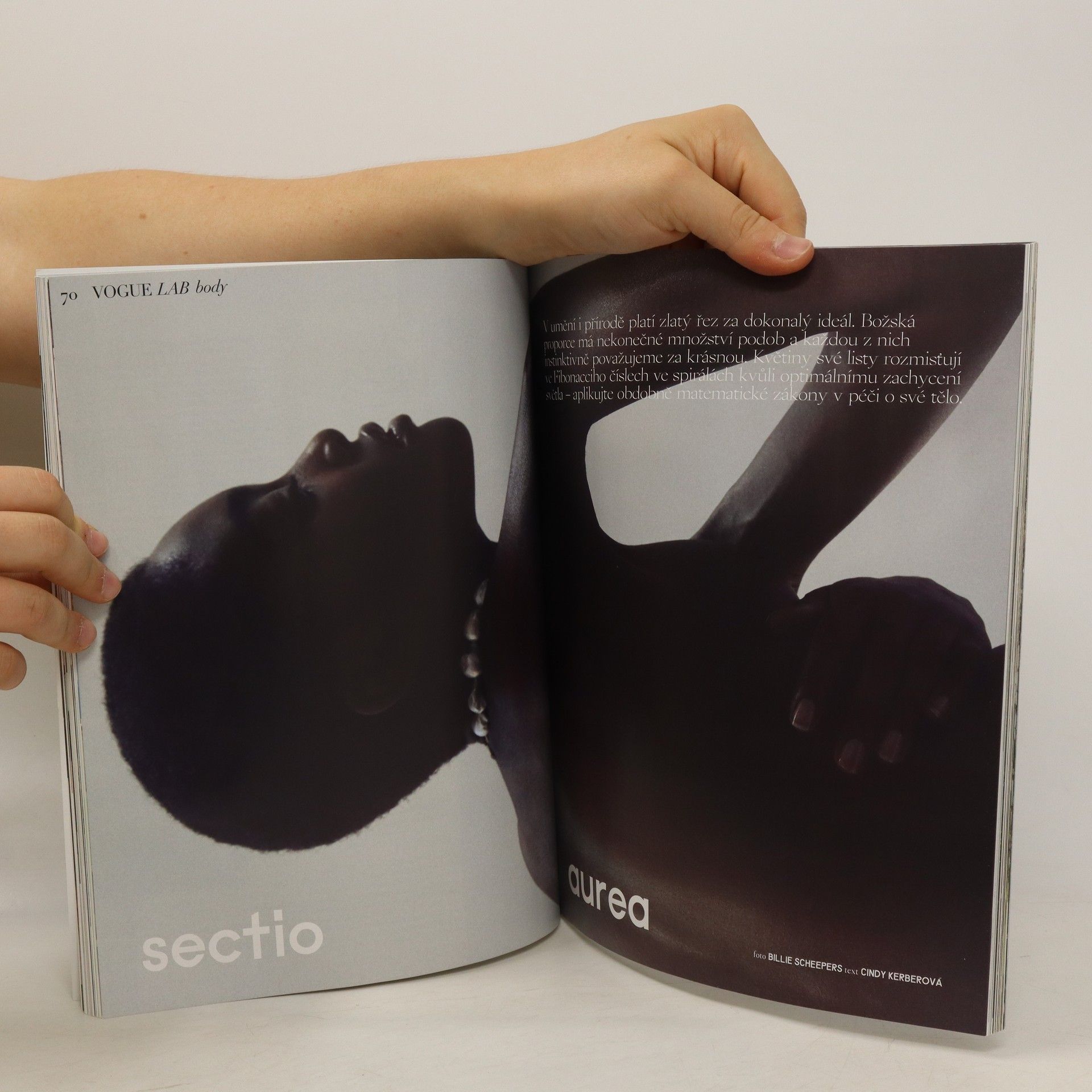 Kolektiv autorů Vogue CS, 11/2020