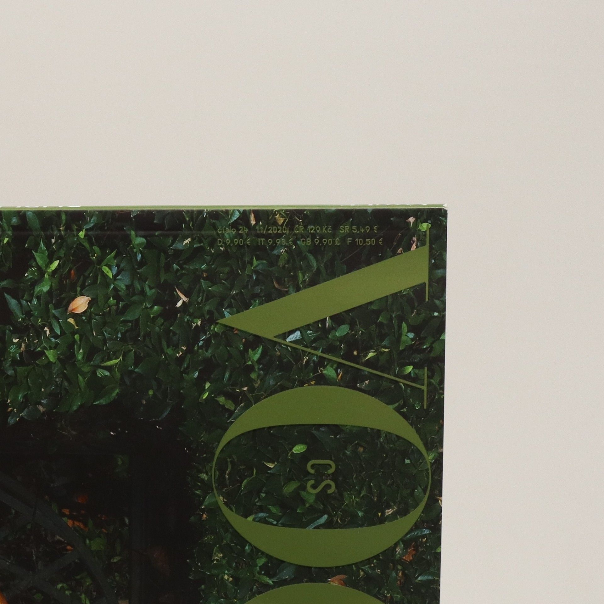 Kolektiv autorů Vogue CS, 11/2020