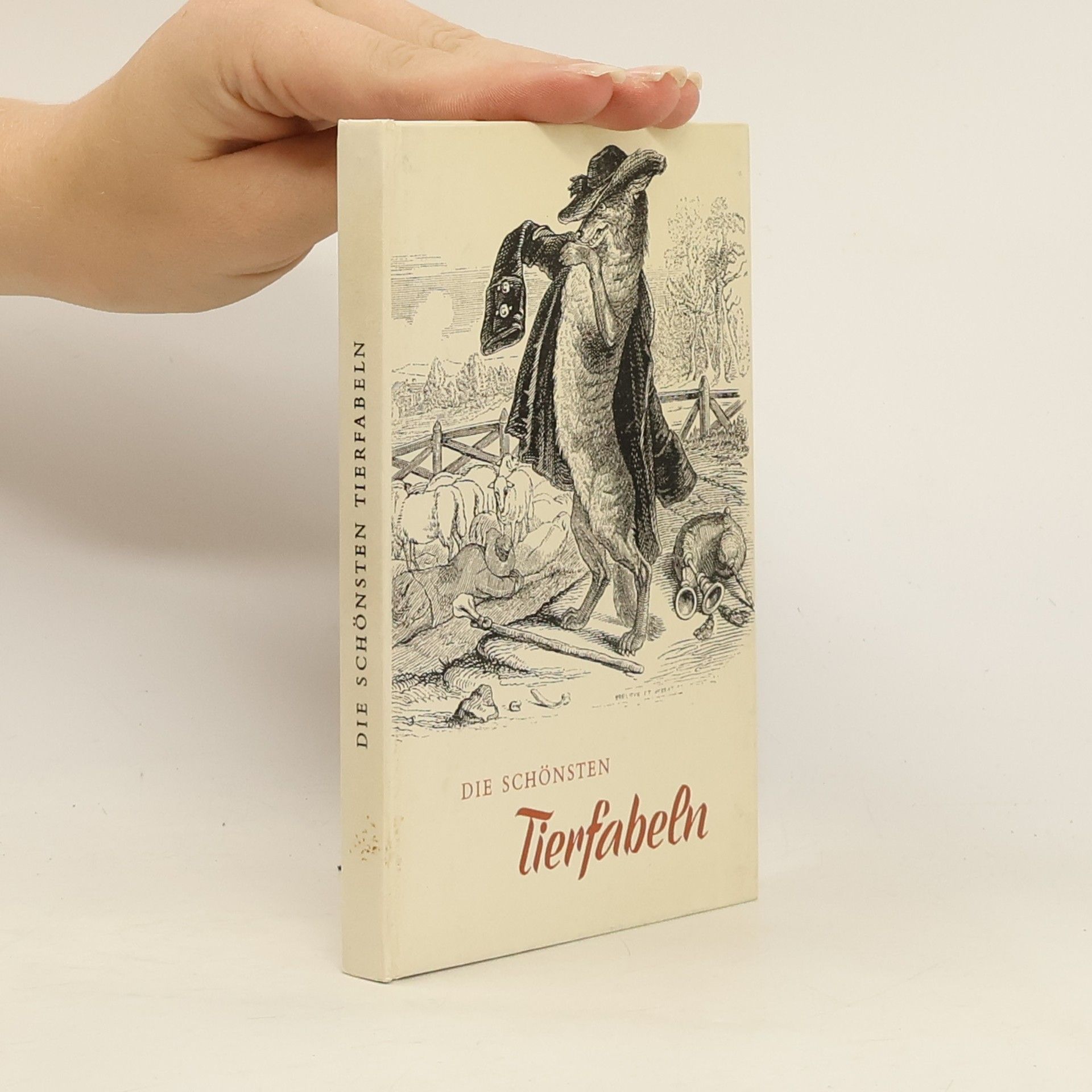 Collectif d'auteurs Die schönsten Tierfabeln