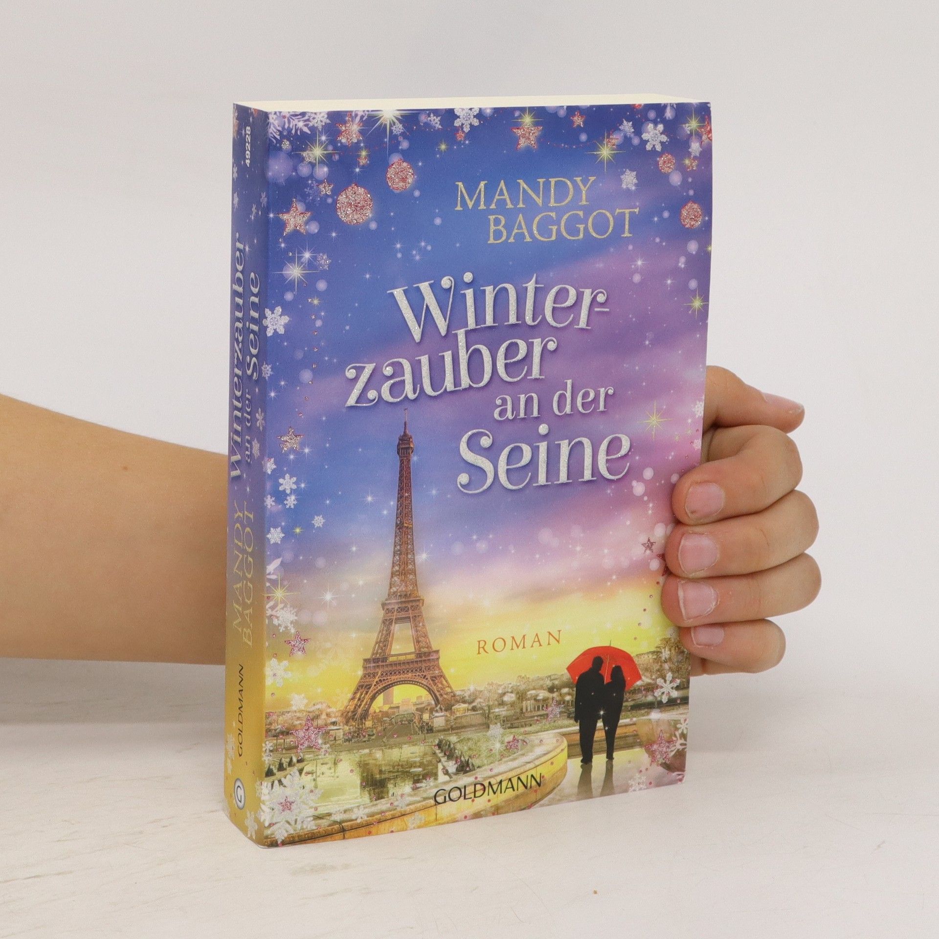 Mandy Baggot Winterzauber an der Seine