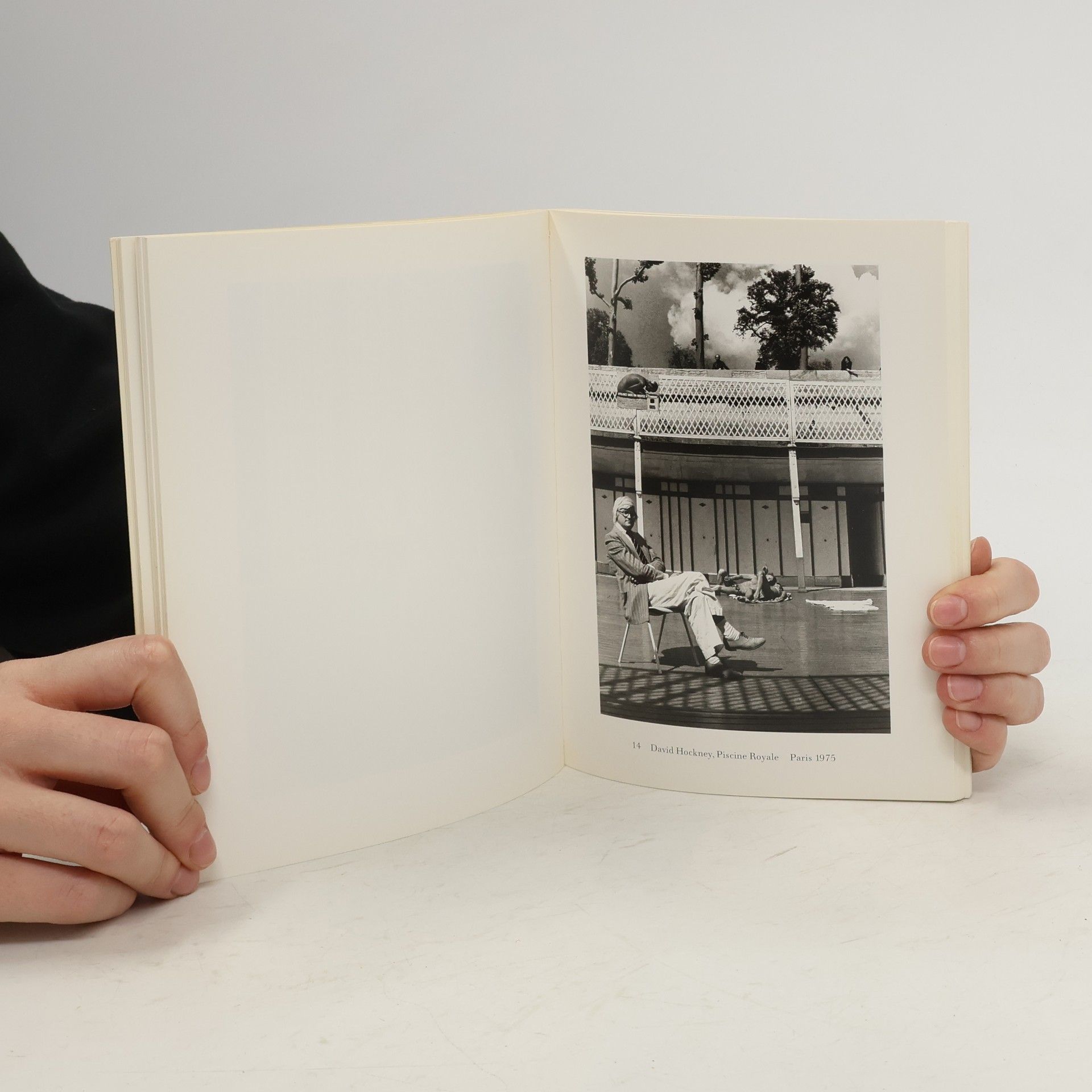 Marshall Blonsky Helmut Newton: Private Property