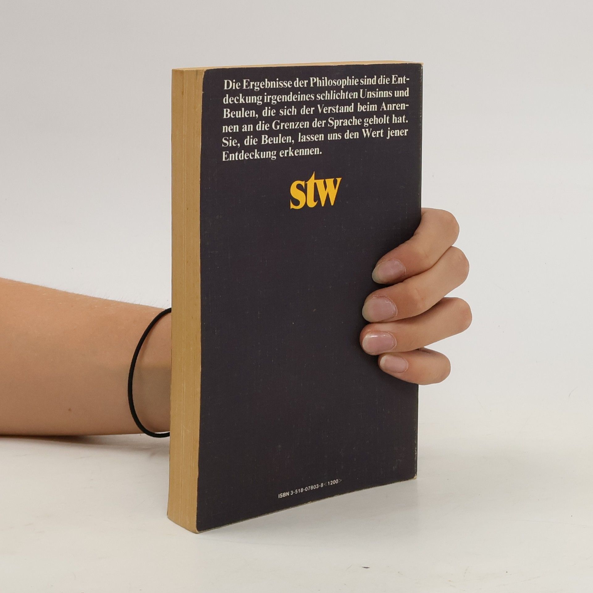 Ludwig Wittgenstein Philosophische Untersuchungen