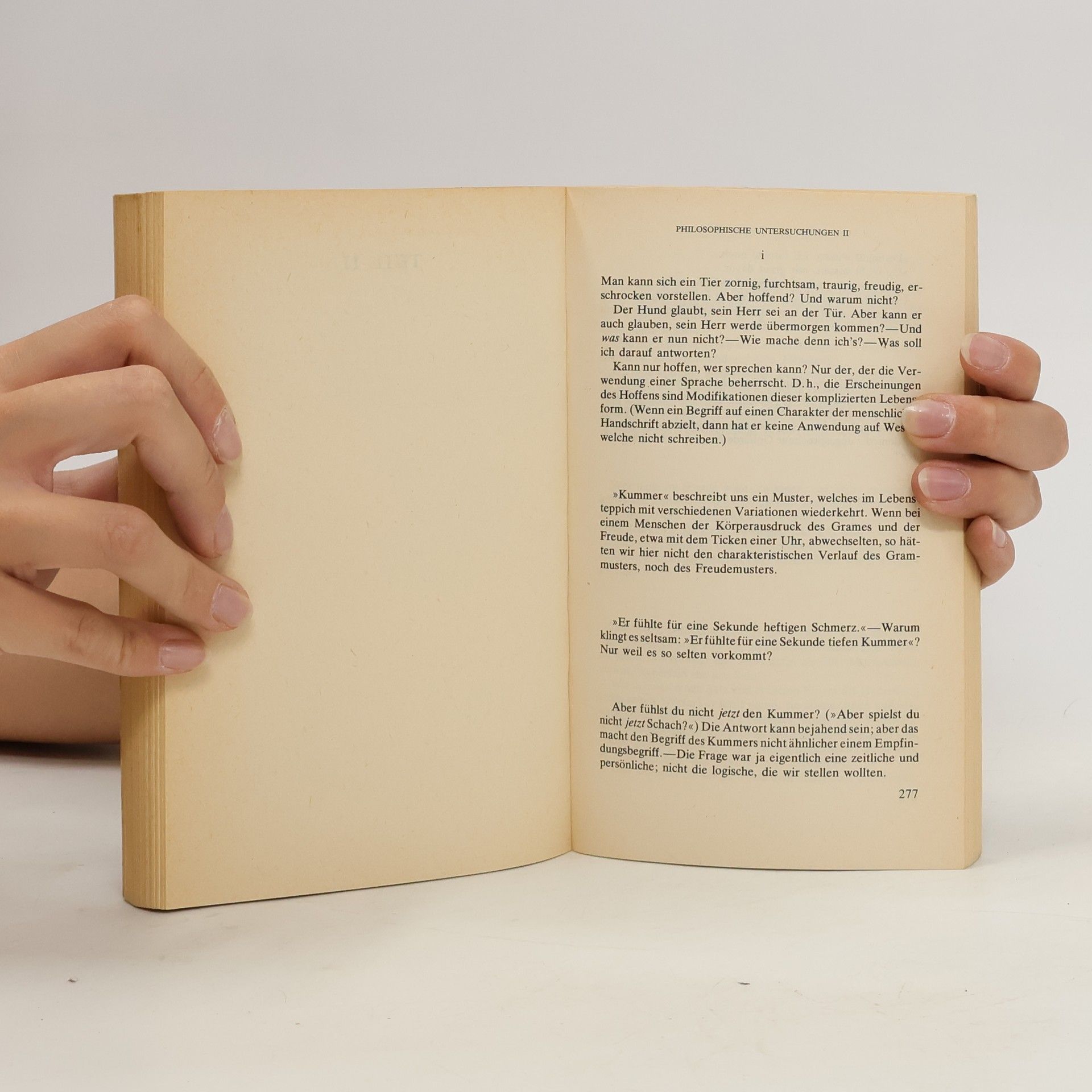 Ludwig Wittgenstein Philosophische Untersuchungen