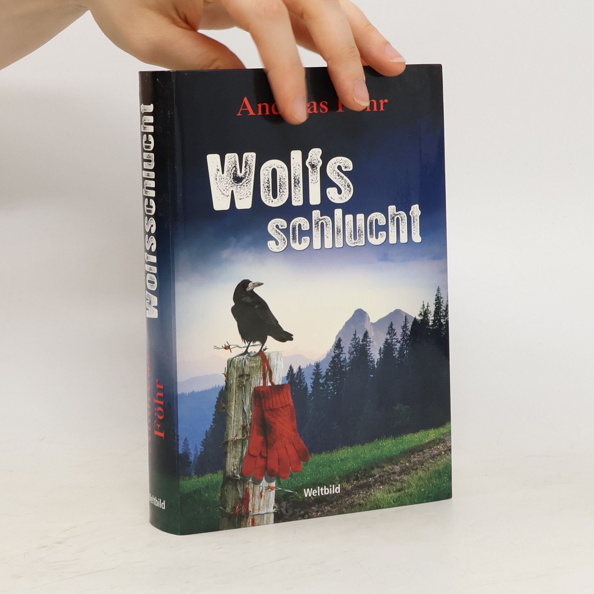 Andreas Föhr Wolfsschlucht