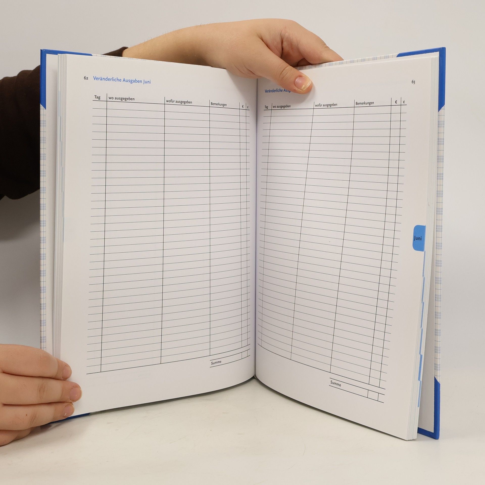 Autorenkollektiv Das Haushaltsbuch