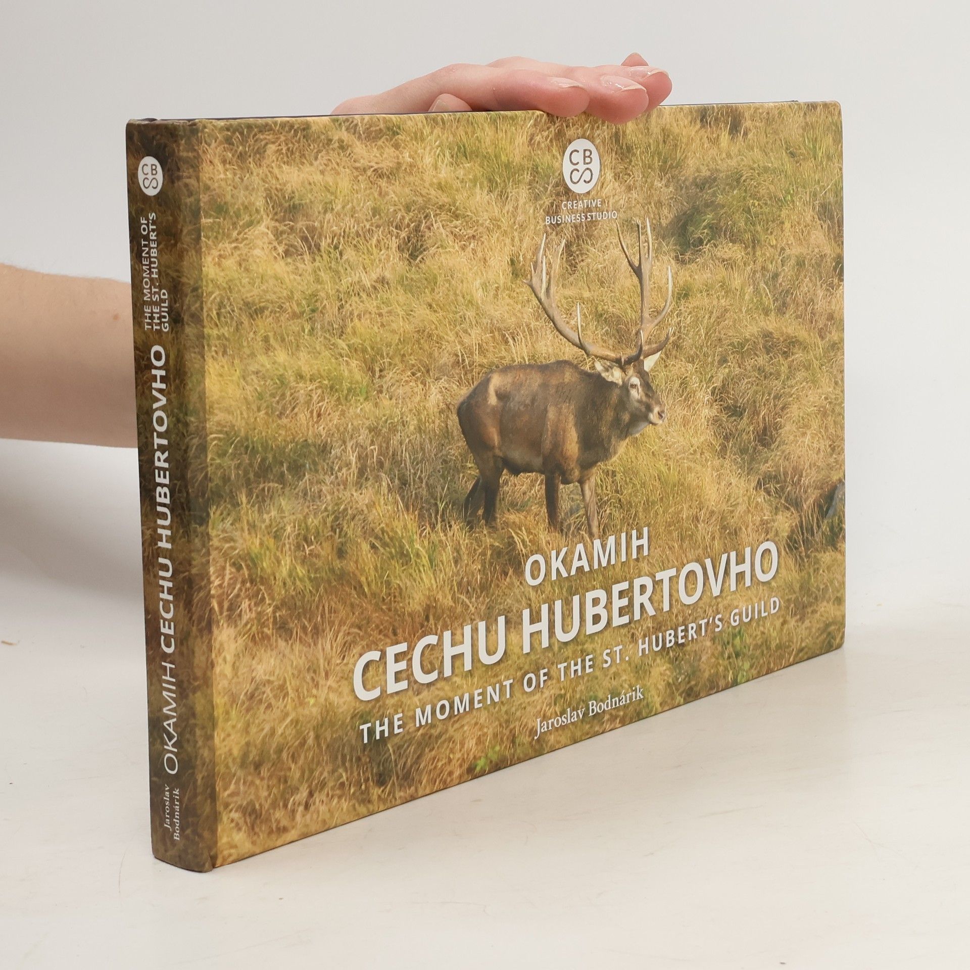 Jaroslav Bodnárik Okamih cechu Hubertovho
