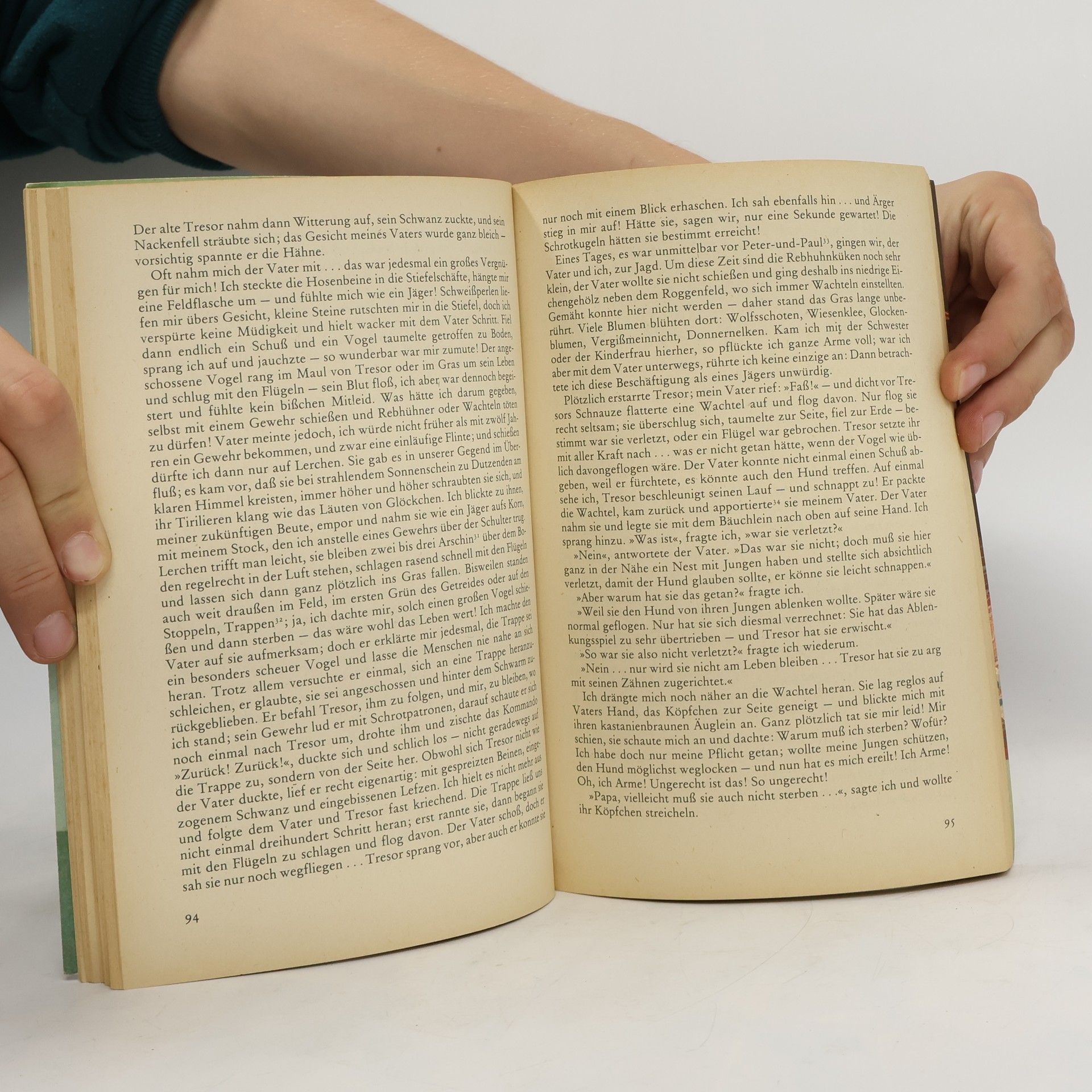 Kolektiv autorů Lesebuch. Klasse 6