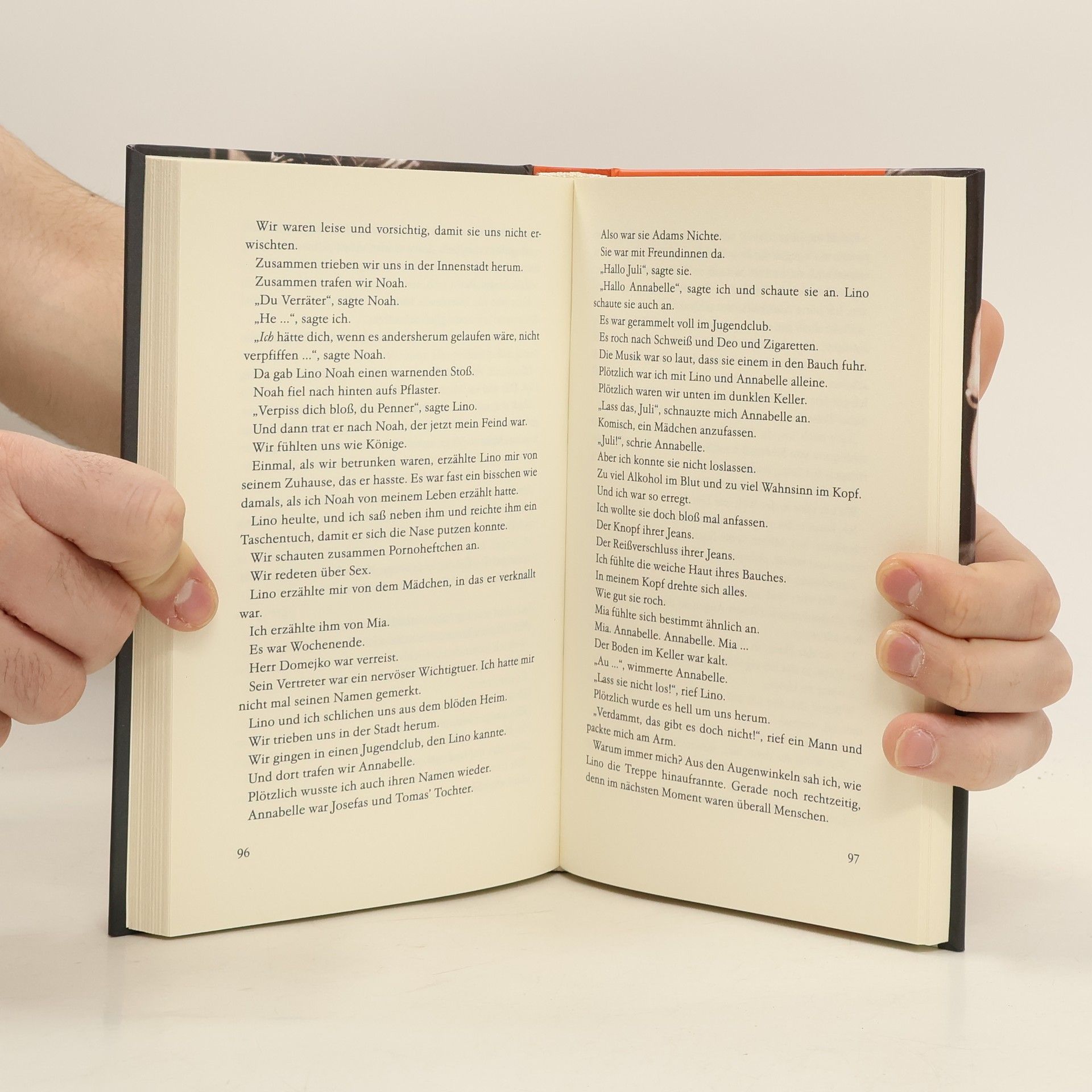 Jana Frey Die vergitterte Welt