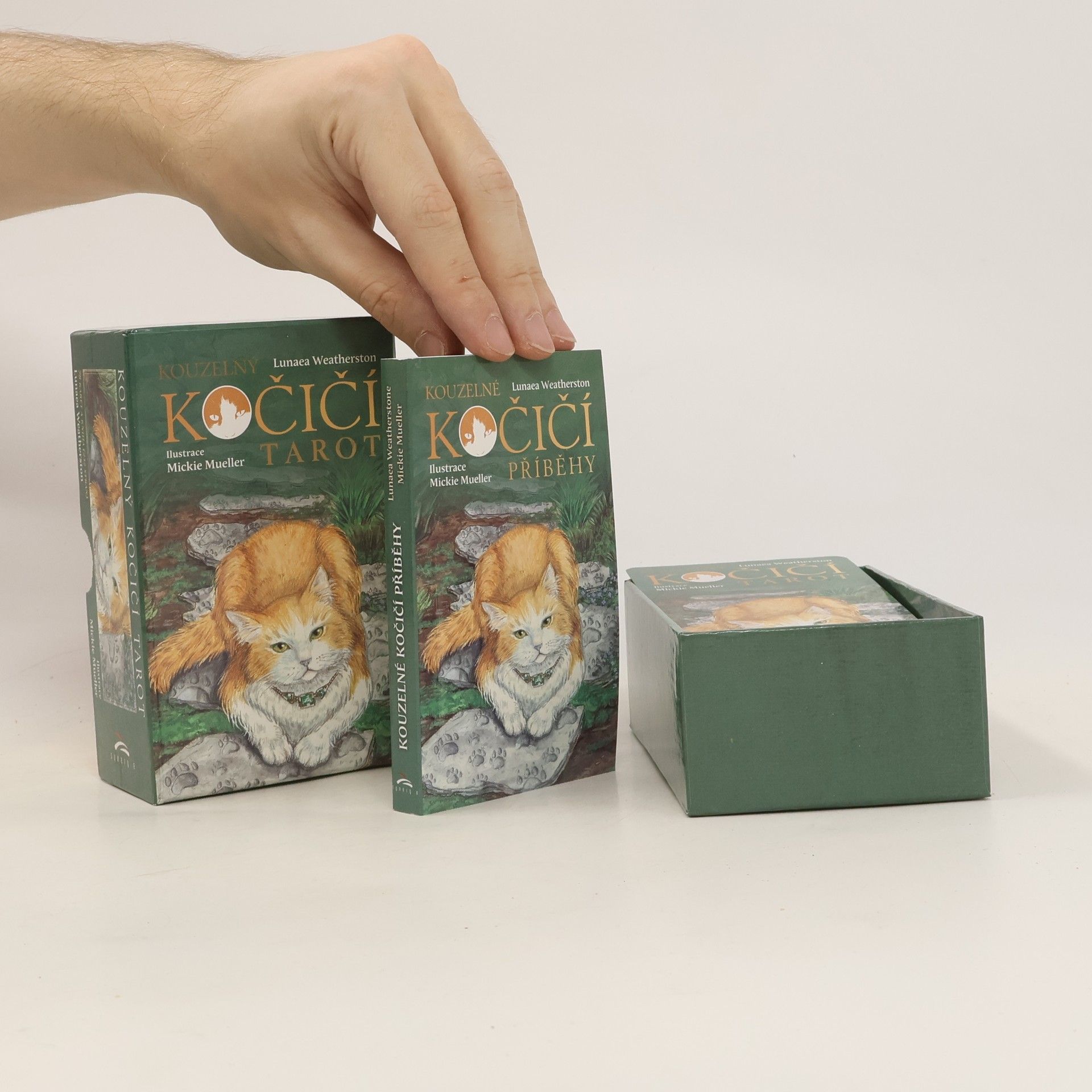 Kouzelný kočičí tarot