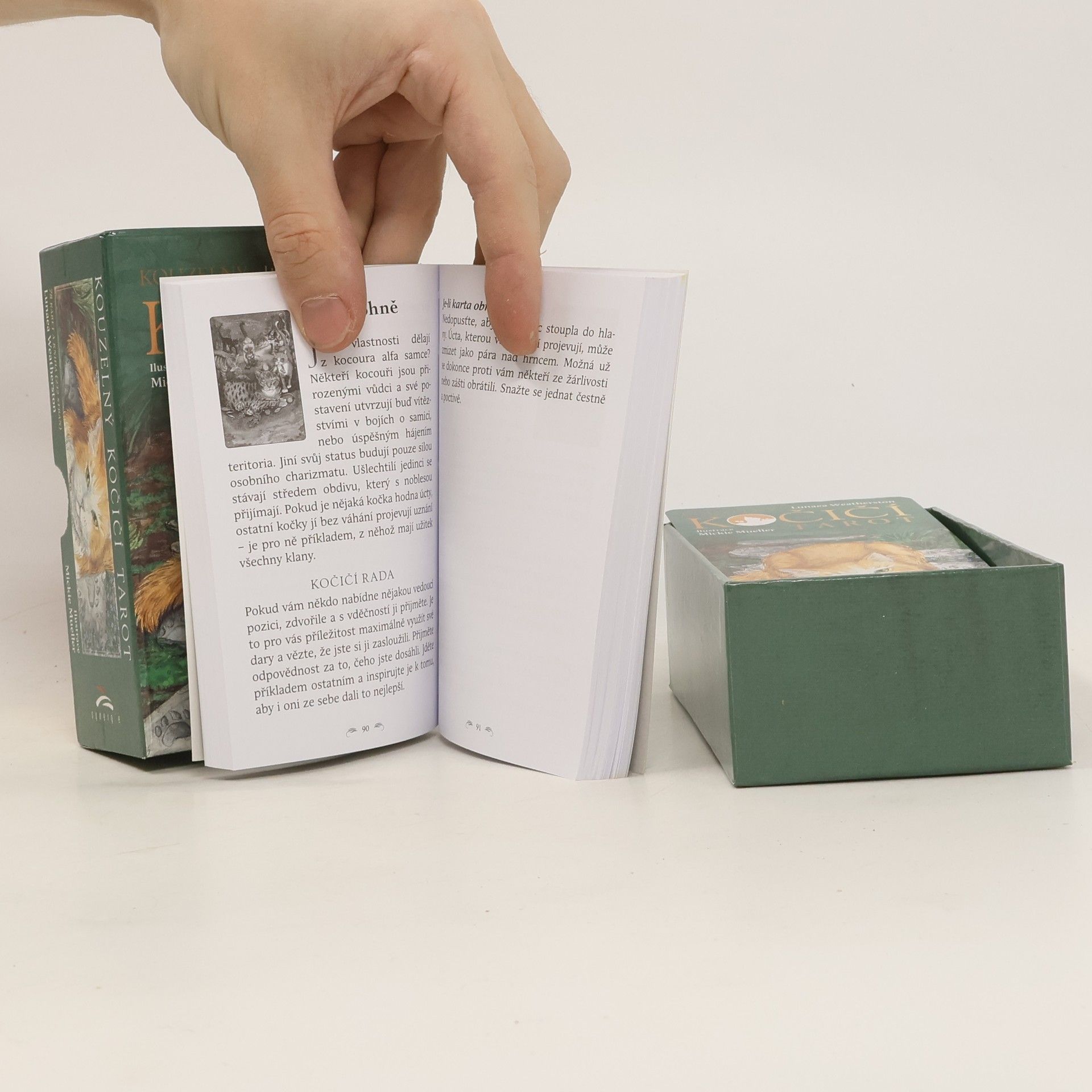 Lunaea Weatherstone Kouzelný kočičí tarot