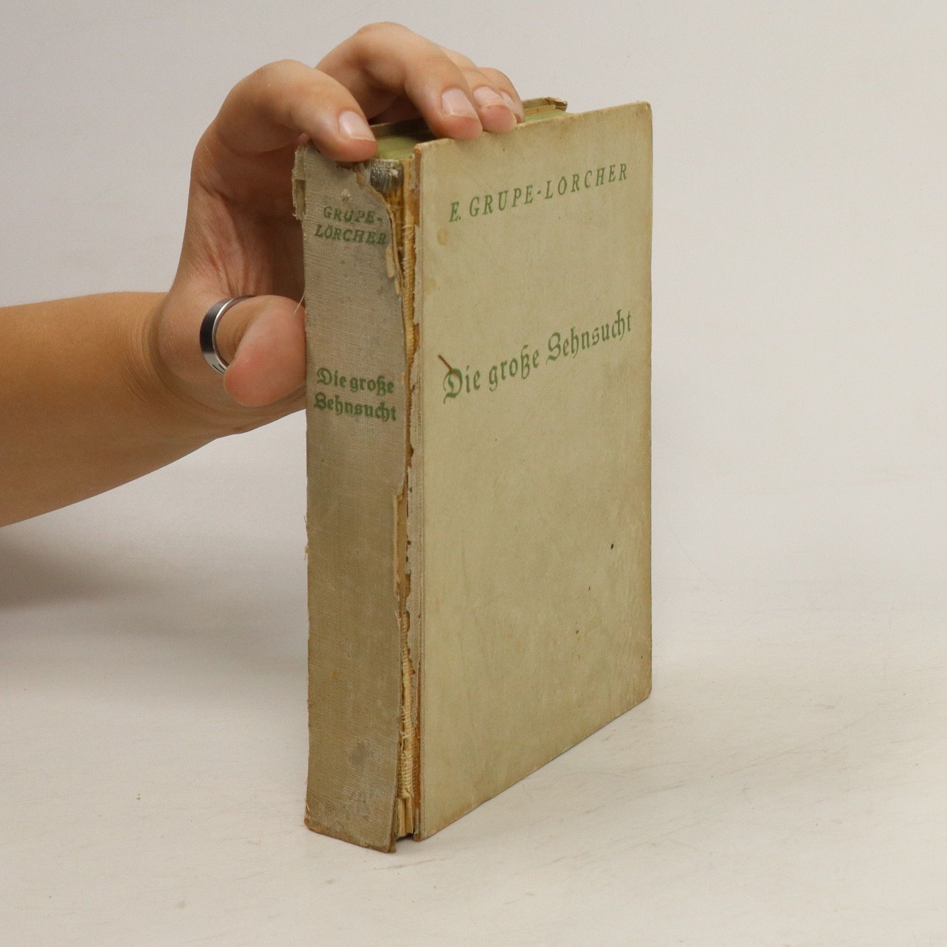 Erica Grupe Die Große Sehnsucht