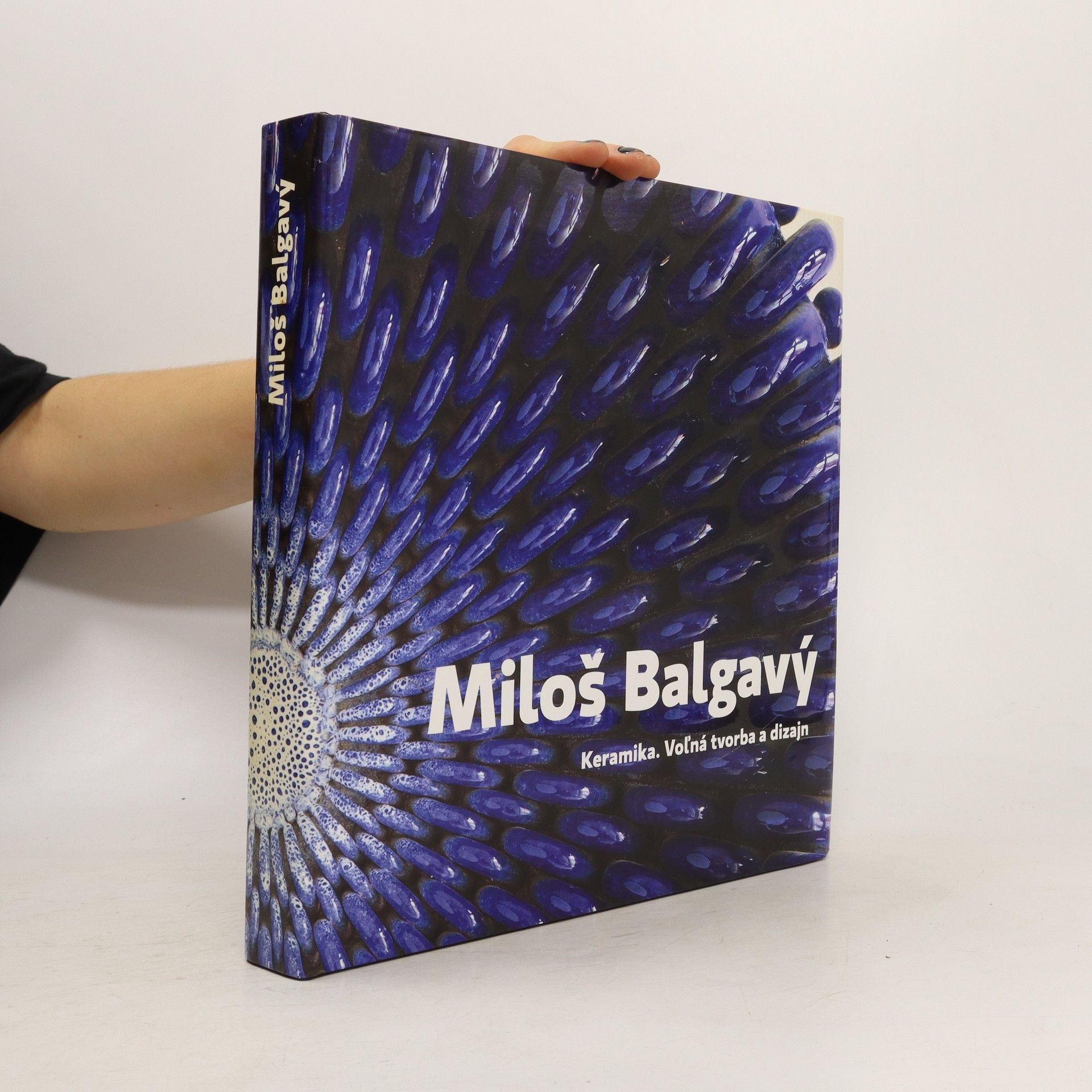 Beáta Balgavá Miloš Balgavý. Keramika, voľná tvorba a dizajn