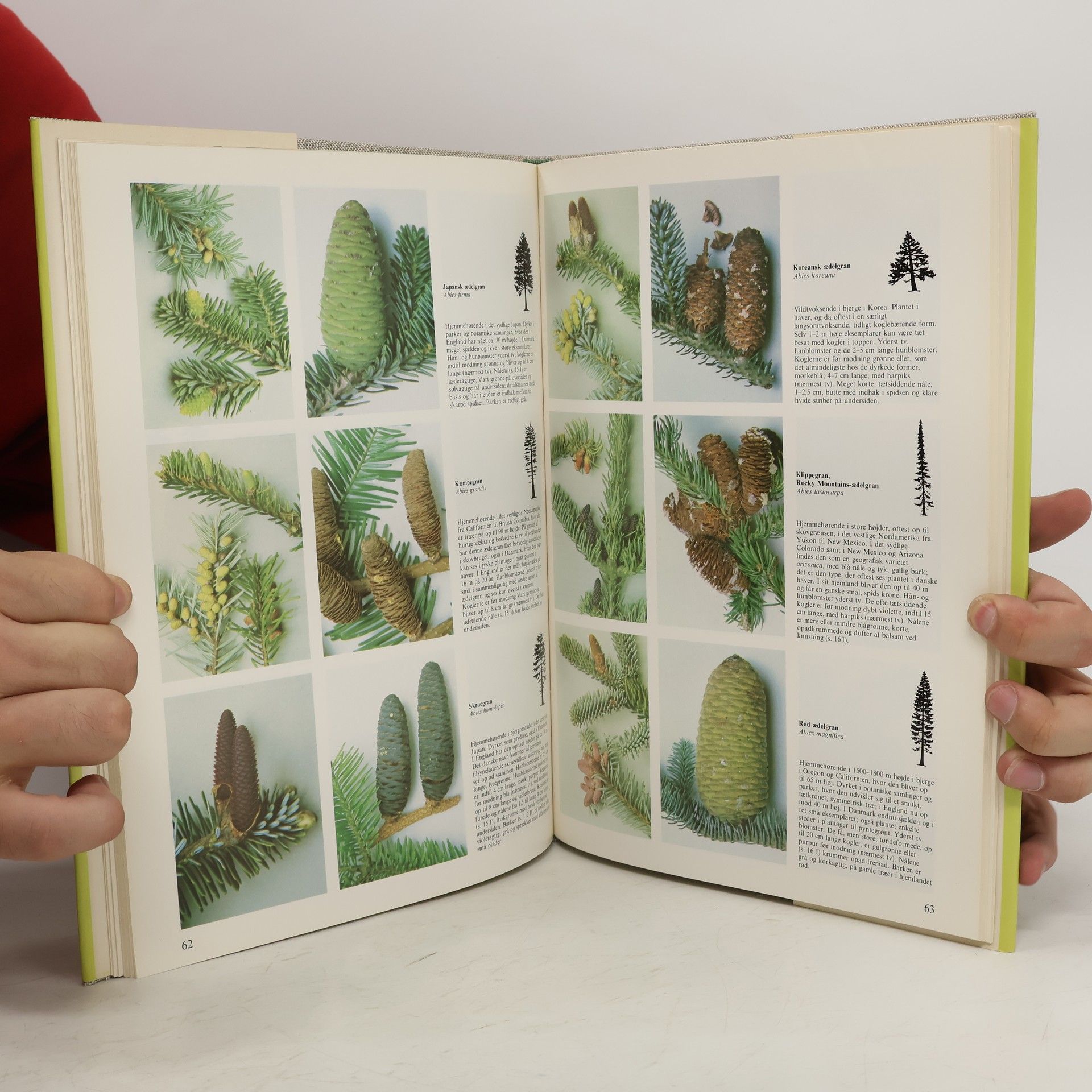 Autorenkollektiv Lademanns Have- og Planteleksikon