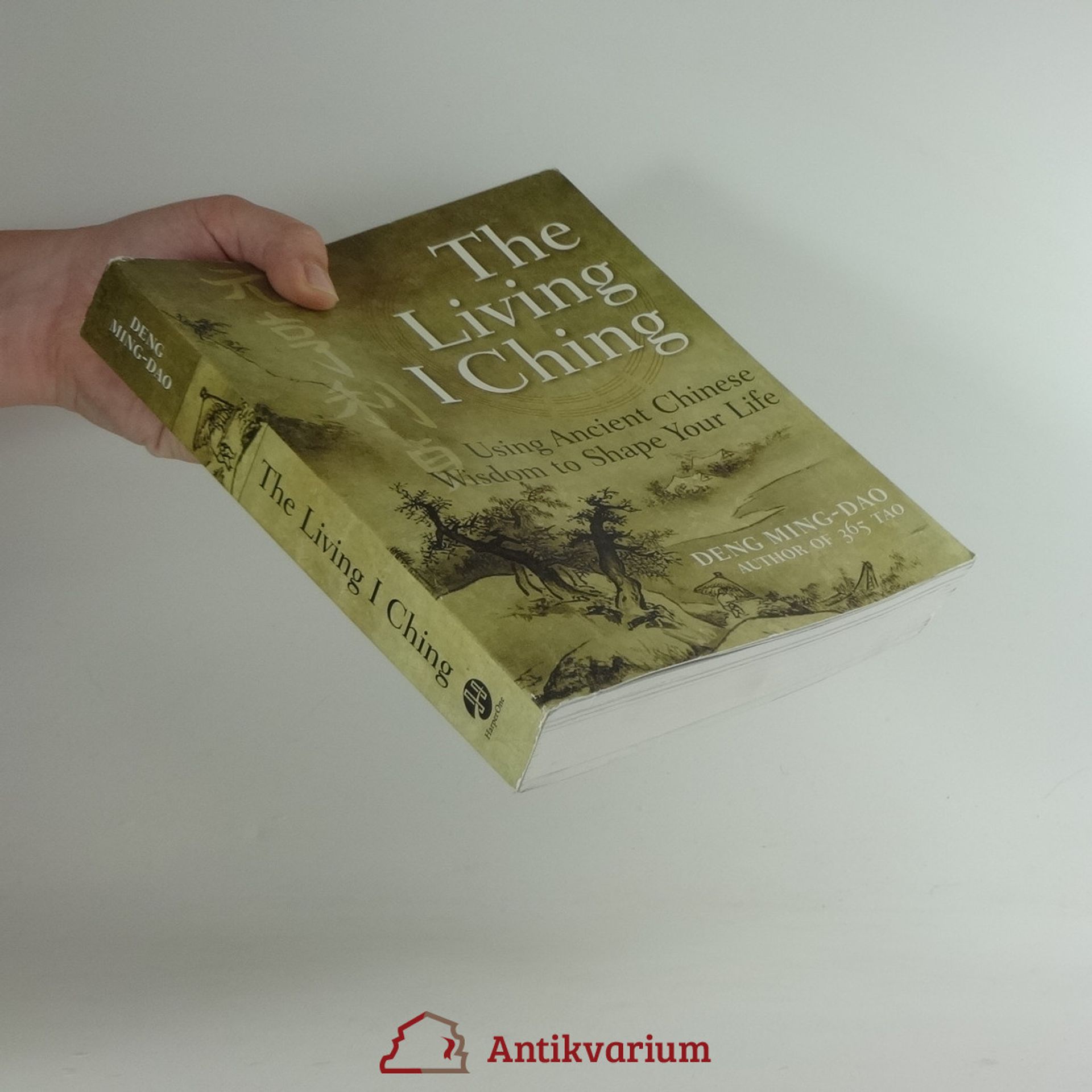The Living I Ching