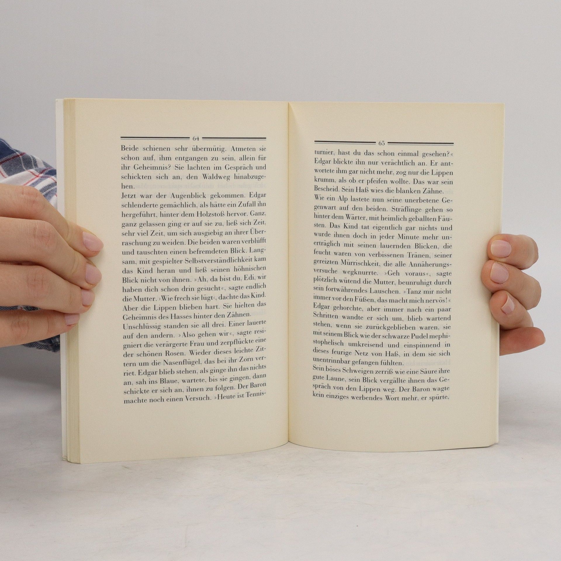 Stefan Zweig Brennendes Geheimnis