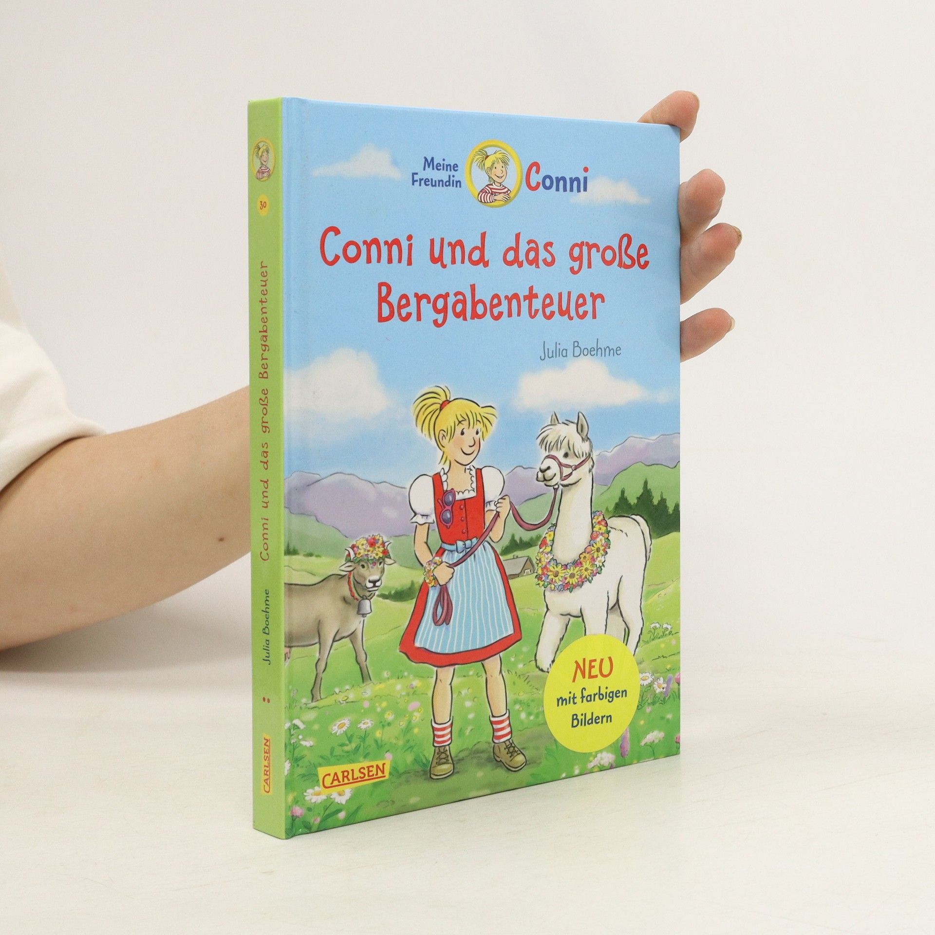 Julia Boehme Conni und das große Bergabenteuer