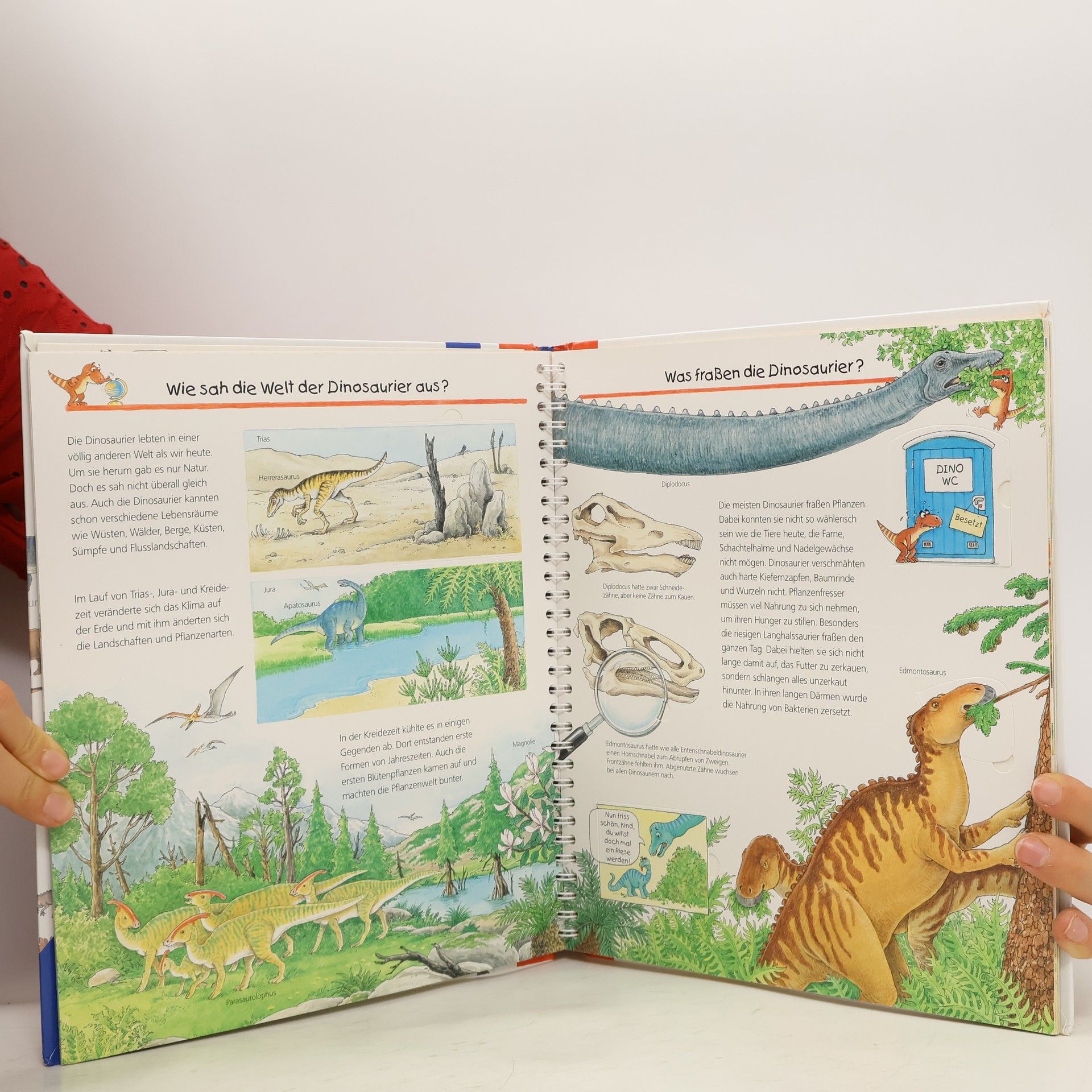 Autorenkollektiv Wir erforschen die Dinosaurier