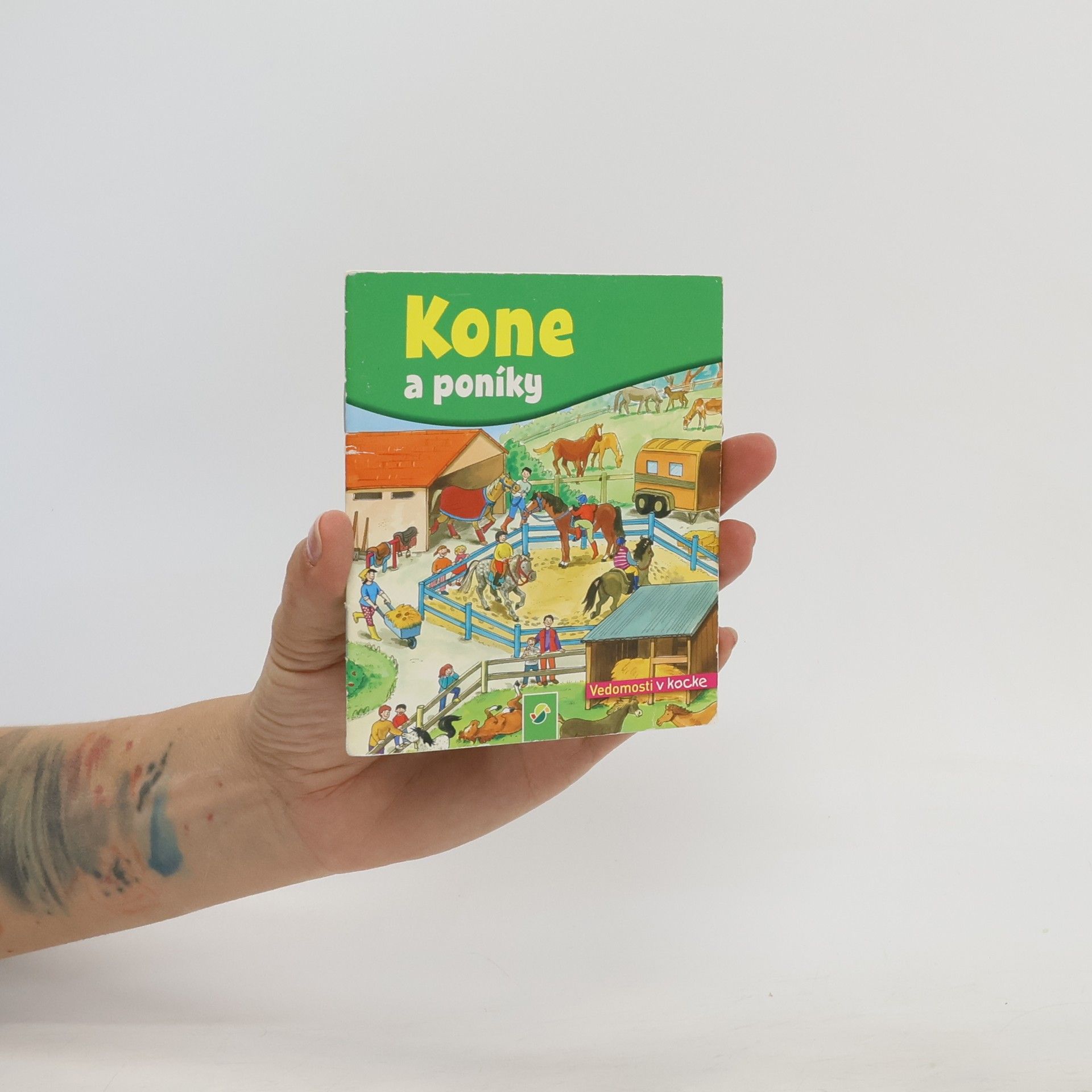 kolektiv Koně a poníky