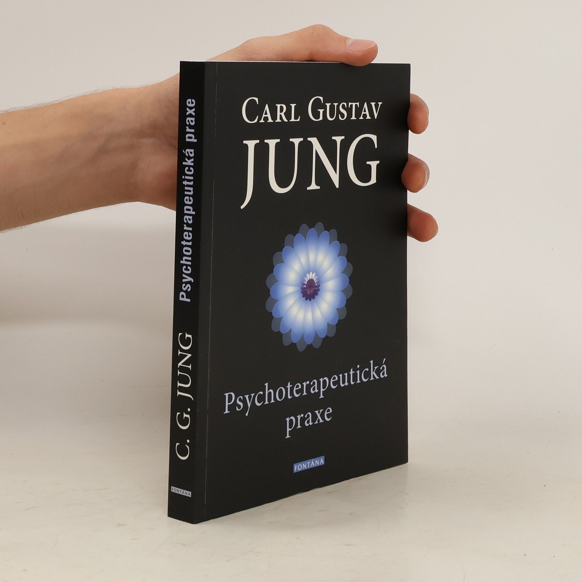 Carl Jung Psychoterapeutická praxe : příspěvky k problému psychoterapie a psychologie přenosu