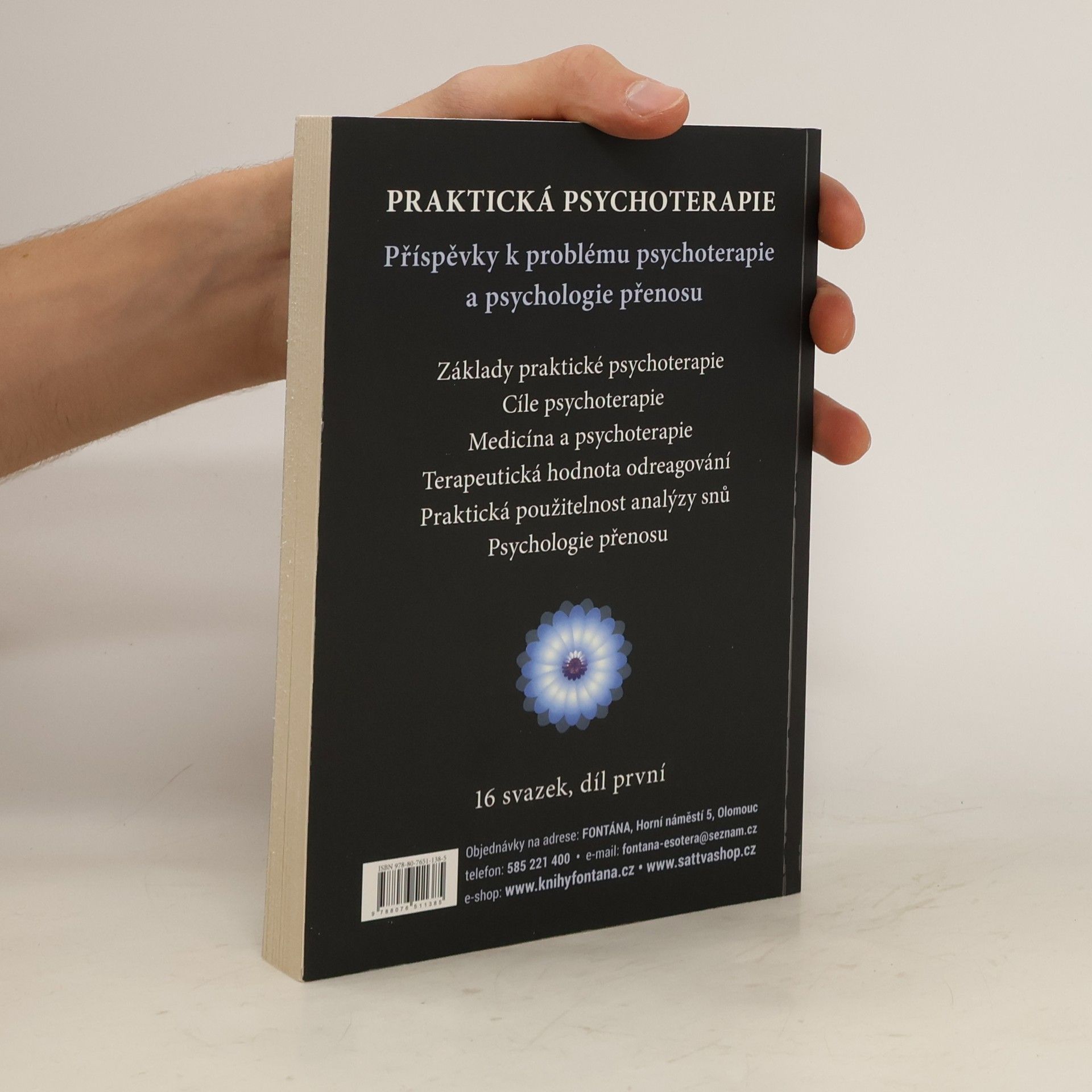 Carl Jung Psychoterapeutická praxe : příspěvky k problému psychoterapie a psychologie přenosu