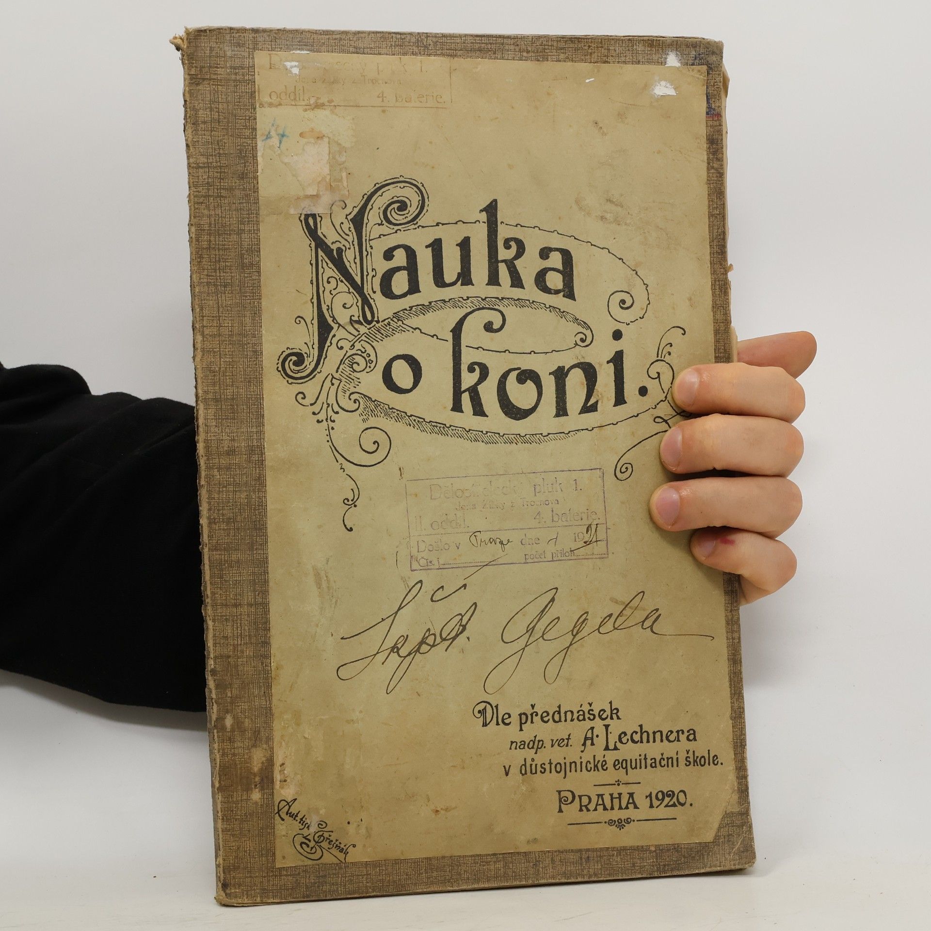A. Lechner Nauka o koni