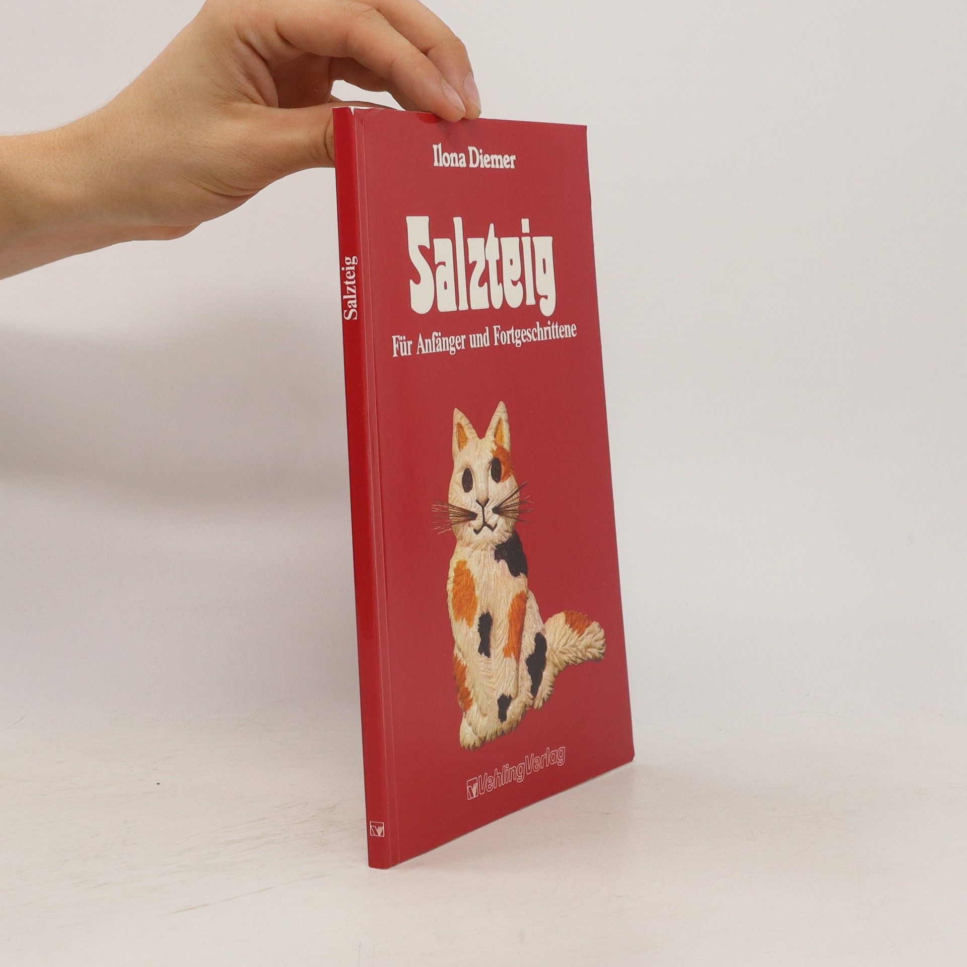 Ilona Diemer Salzteig. Für Anfänger und Fortgeschrittene