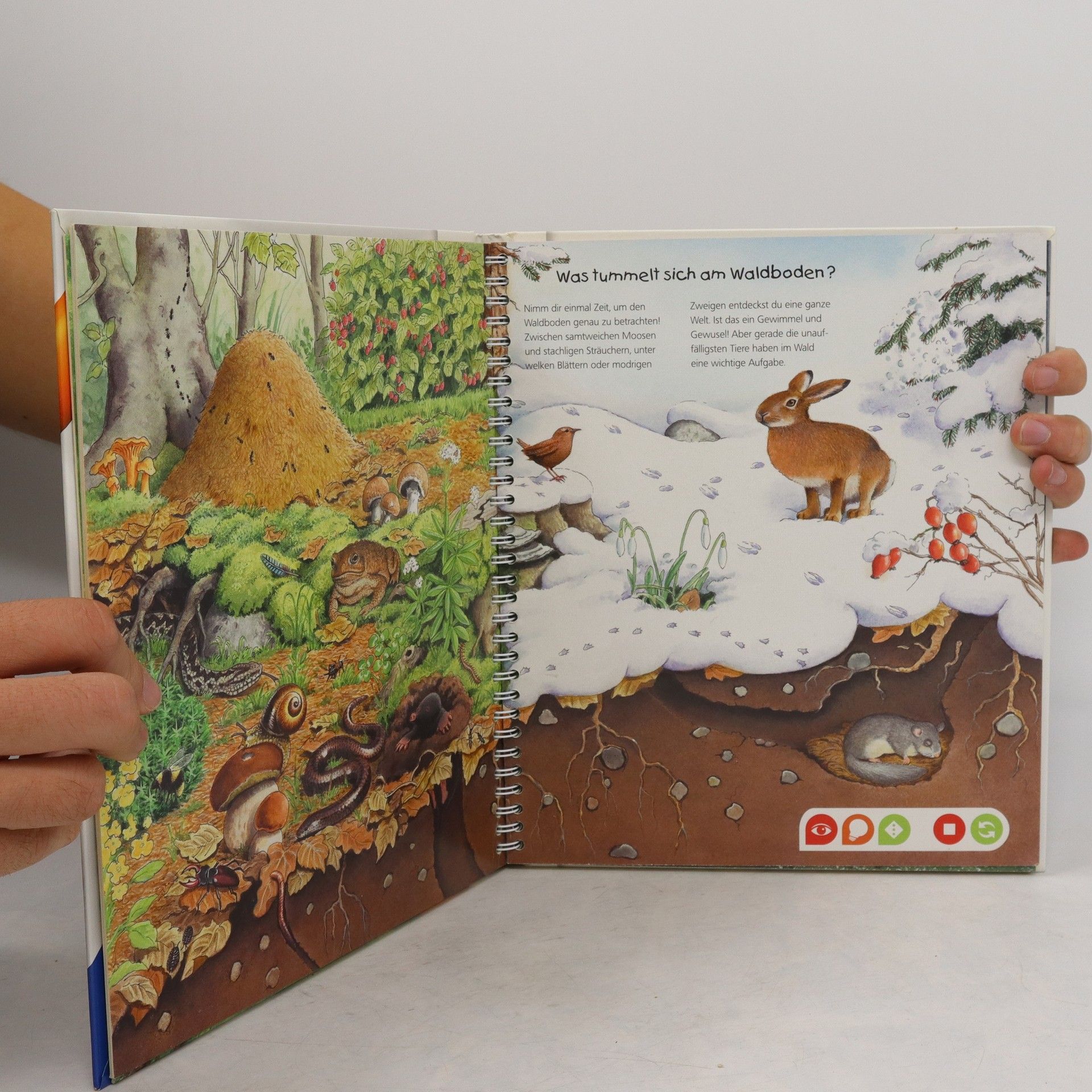 Autorenkollektiv Komm mit in den Wald