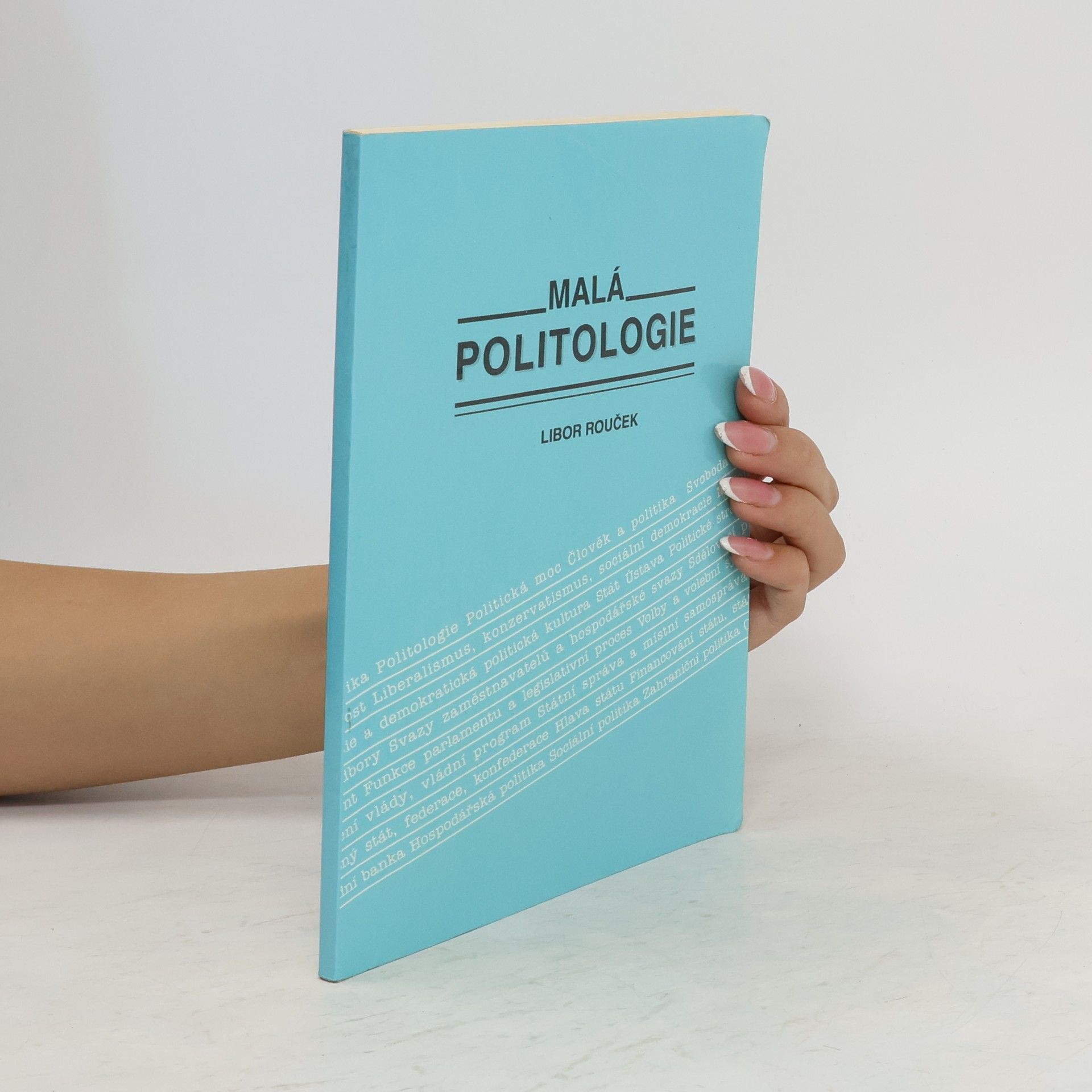 Libor Rouček Malá politologie
