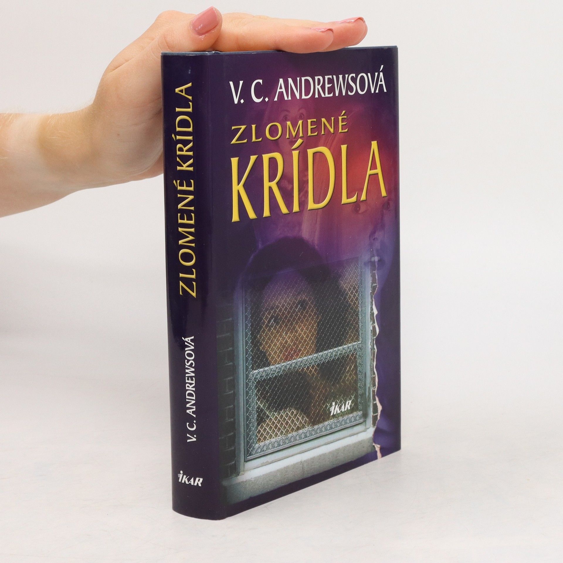 V. C. Andrews Zlomené krídla