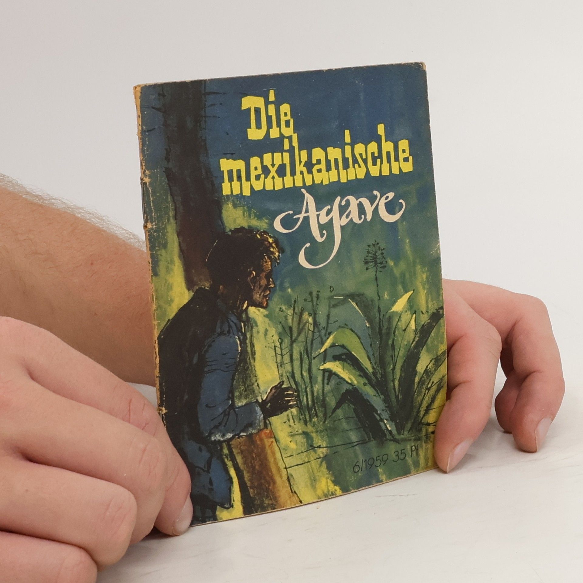 Autorenkollektiv Die mexikanische Agave