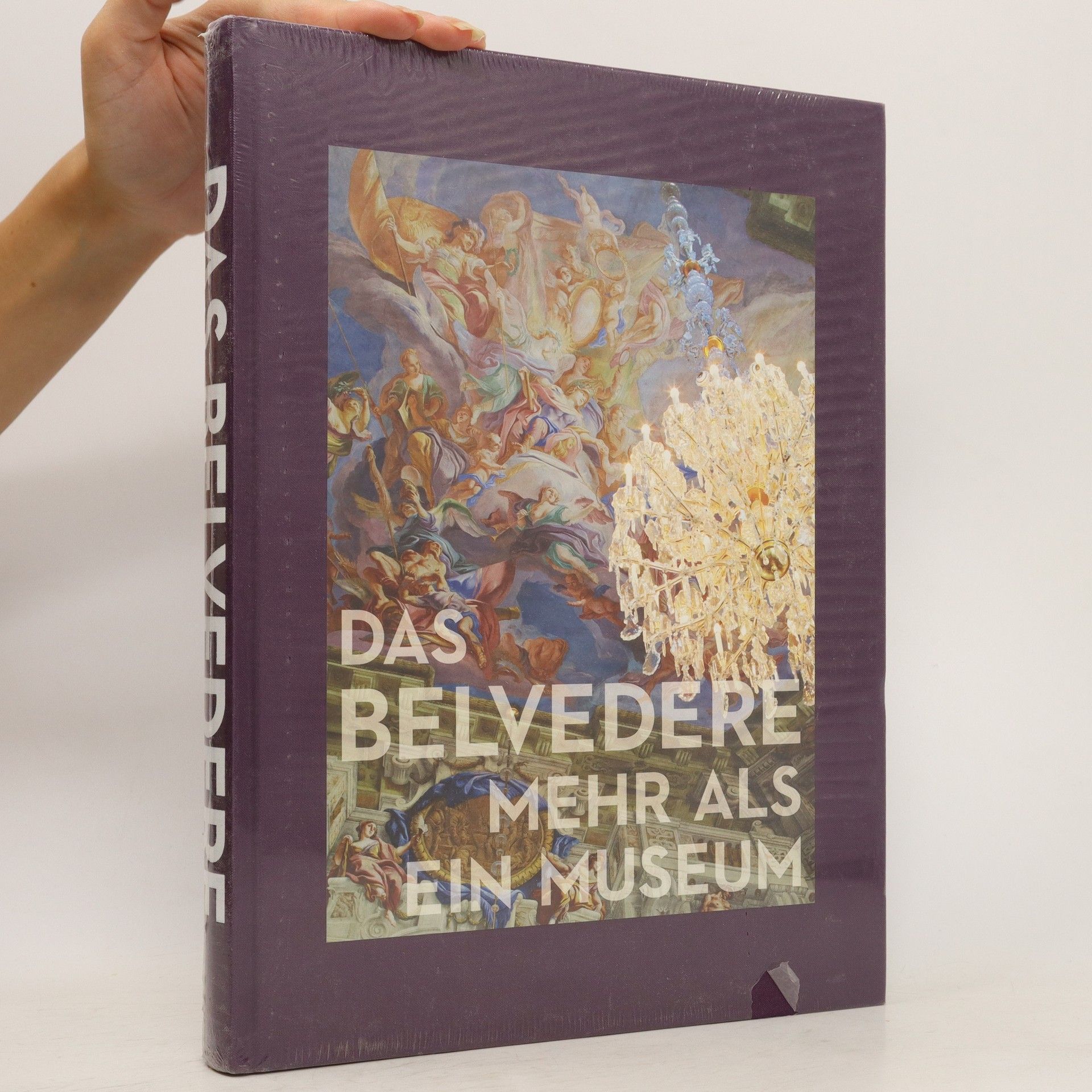 kolektiv Das Belvedere mehr als ein Museum