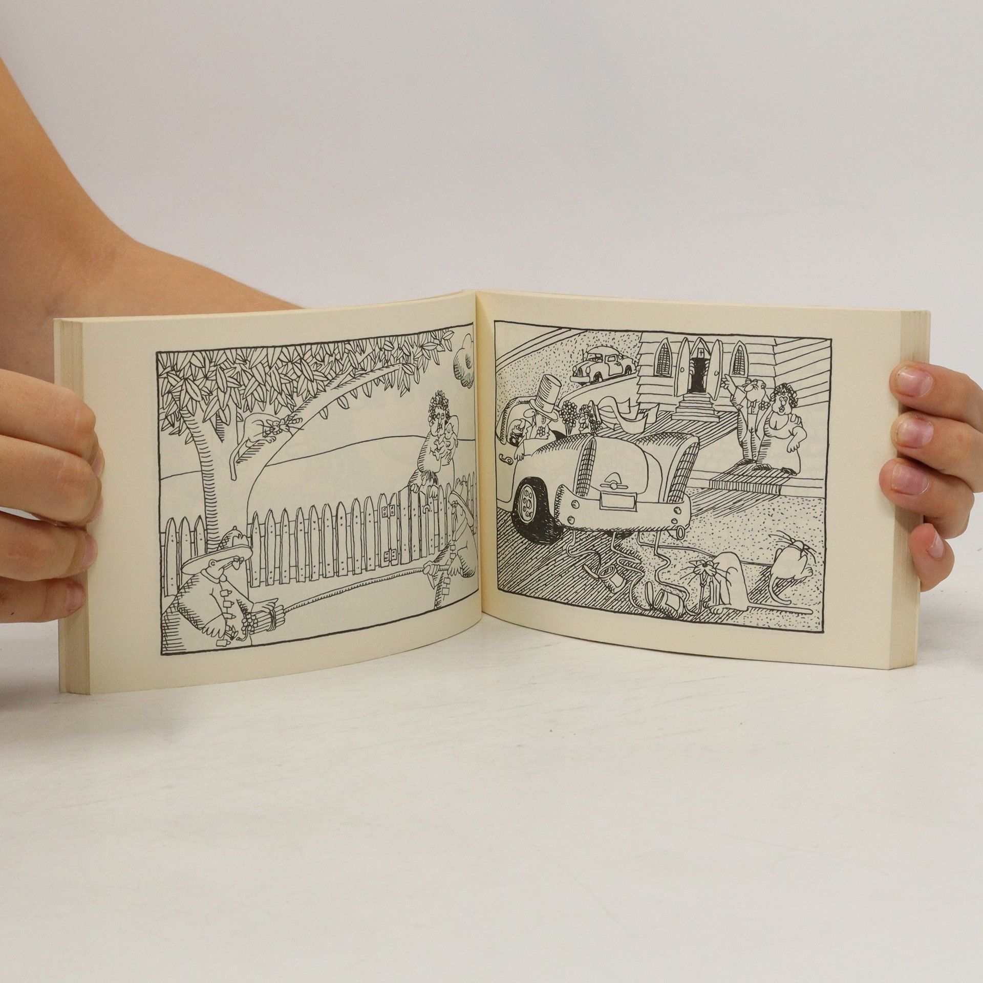 Skip Morrow Das erste offizielle Katzenhasserbuch