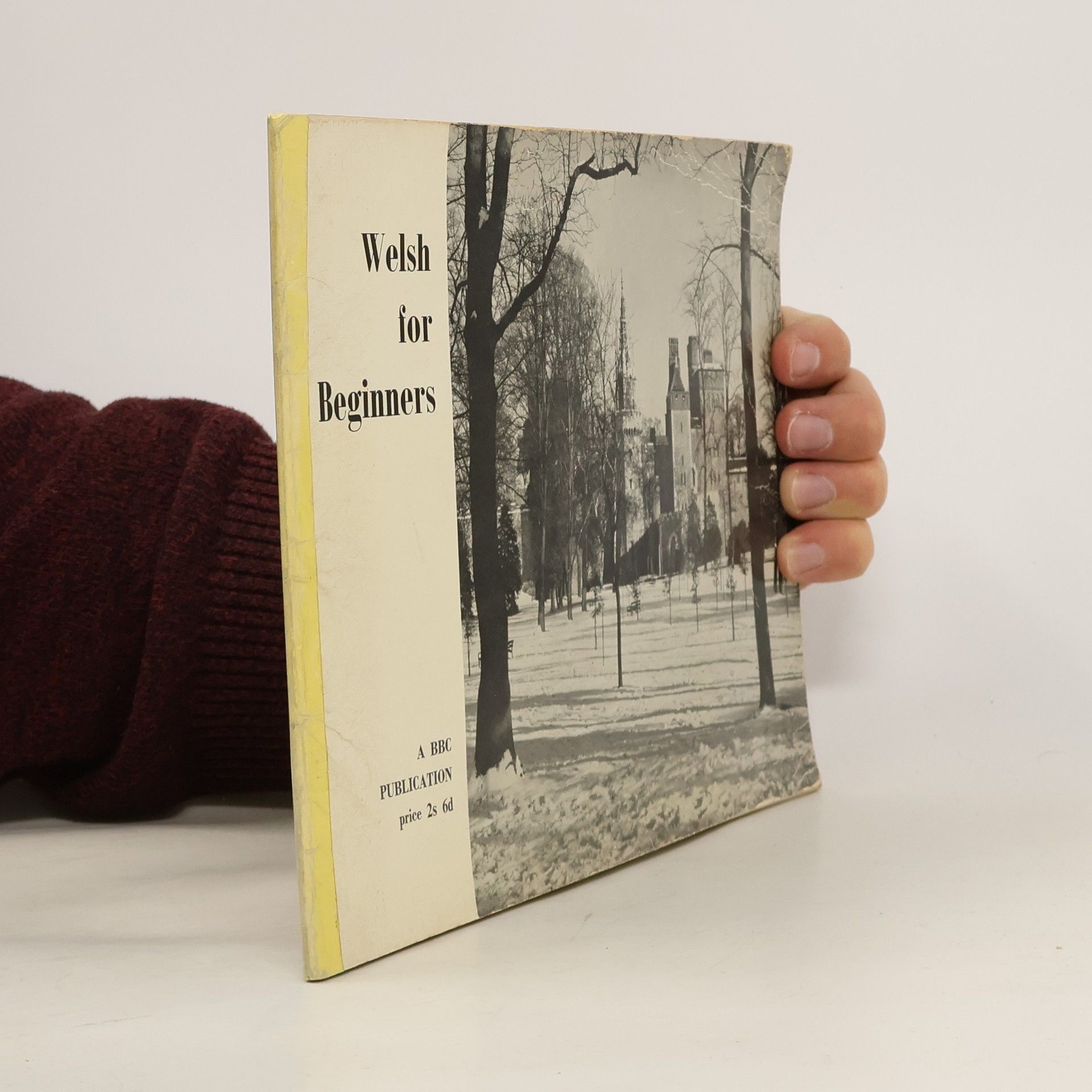 AA.VV. Welsh for Beginners (velšsky)