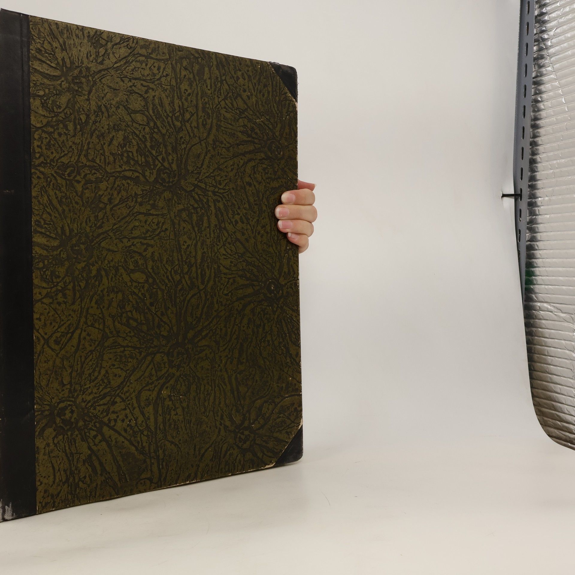 Autorenkollektiv Zlatá Praha XXXI