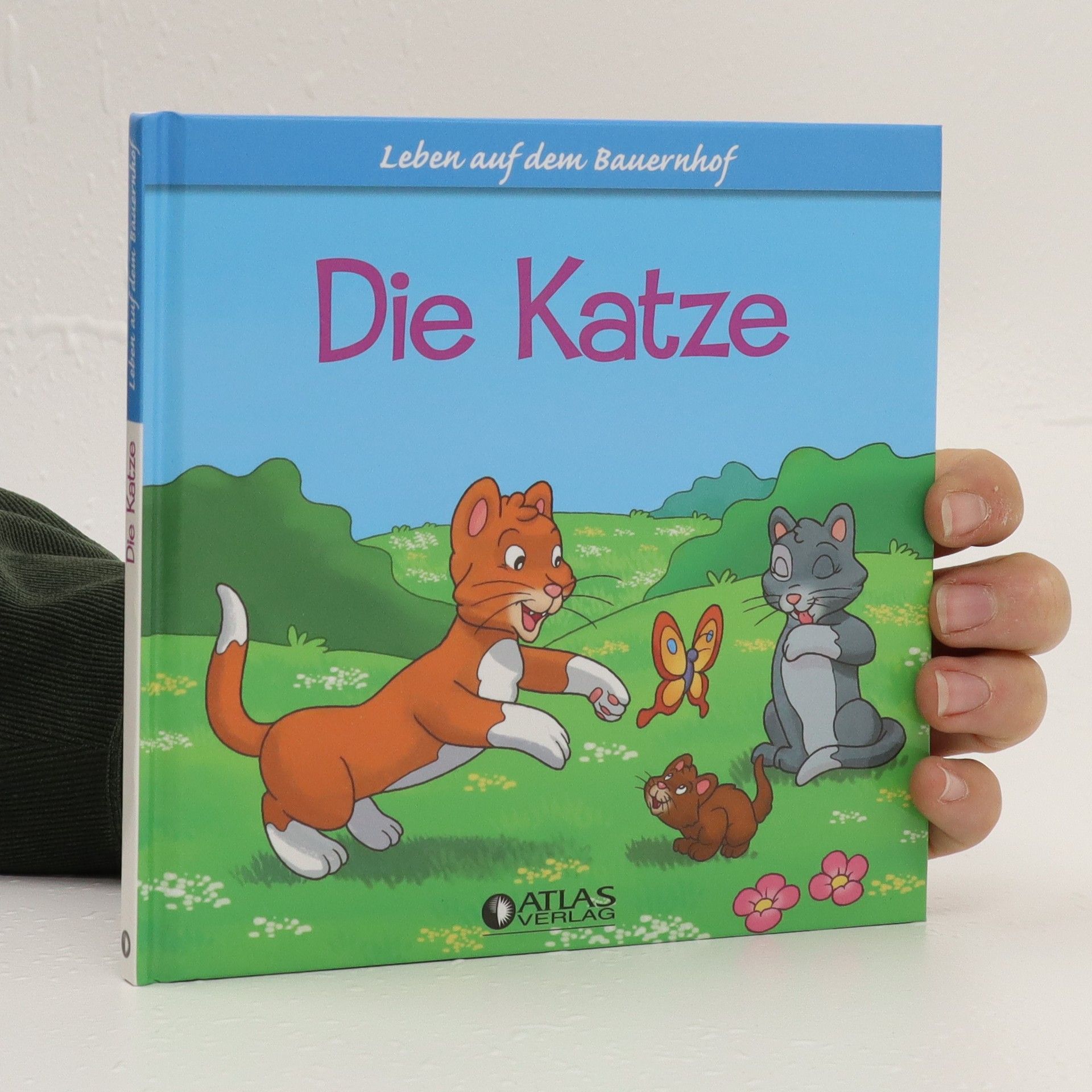 Autorenkollektiv Die Katze